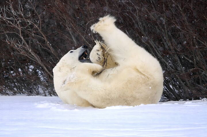 Занятия йогой