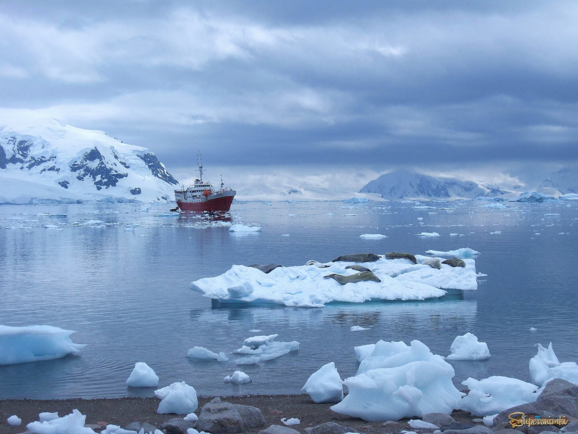 Антарктический пейзаж.