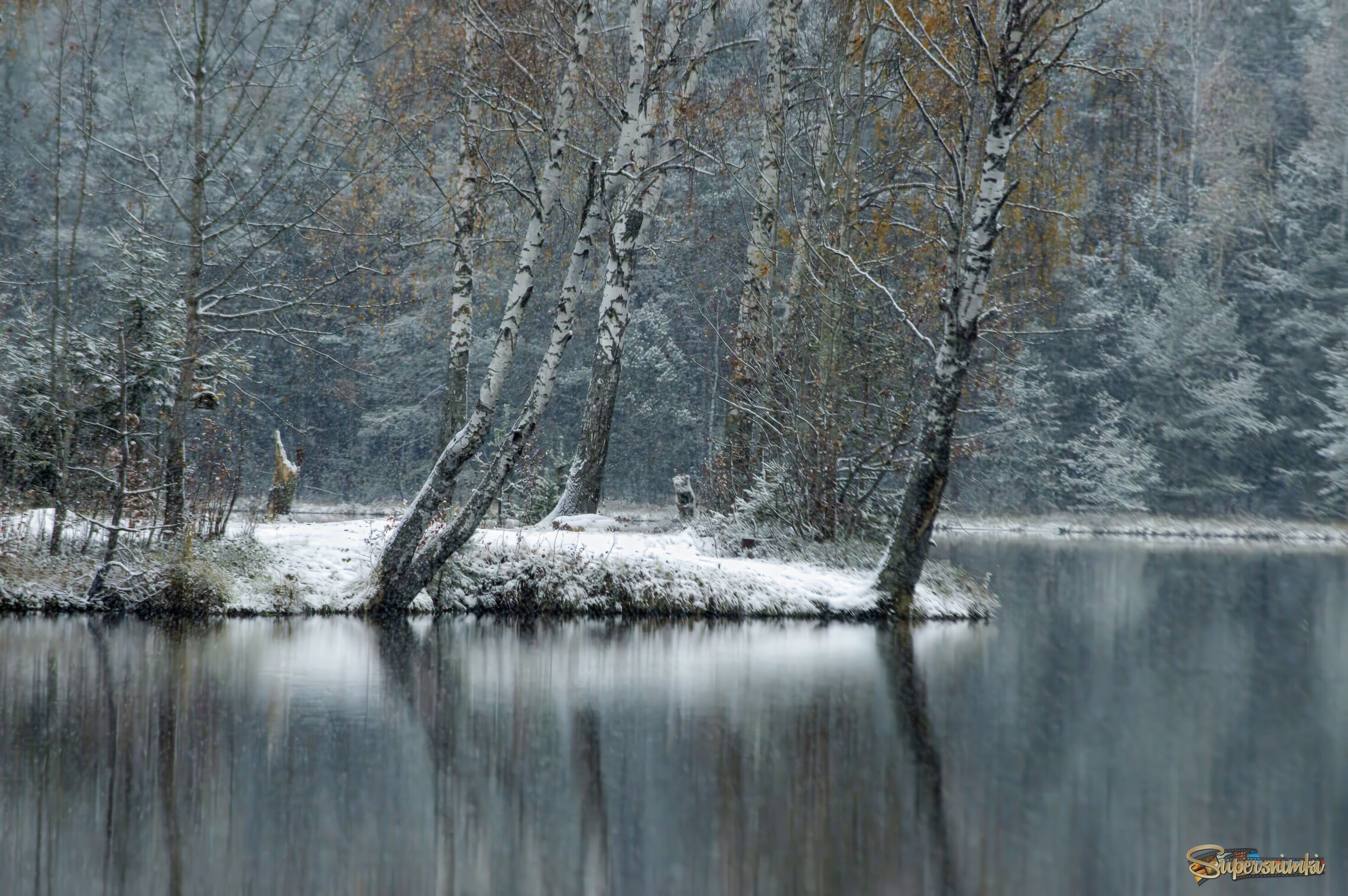 Первый снег...........
