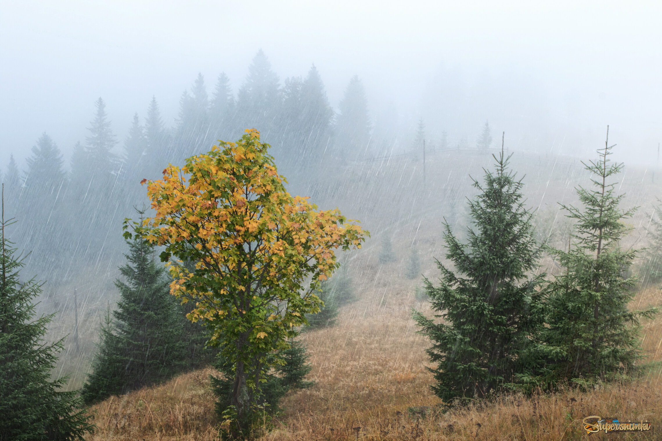 ...и был дождь..и был туман... и была осень...