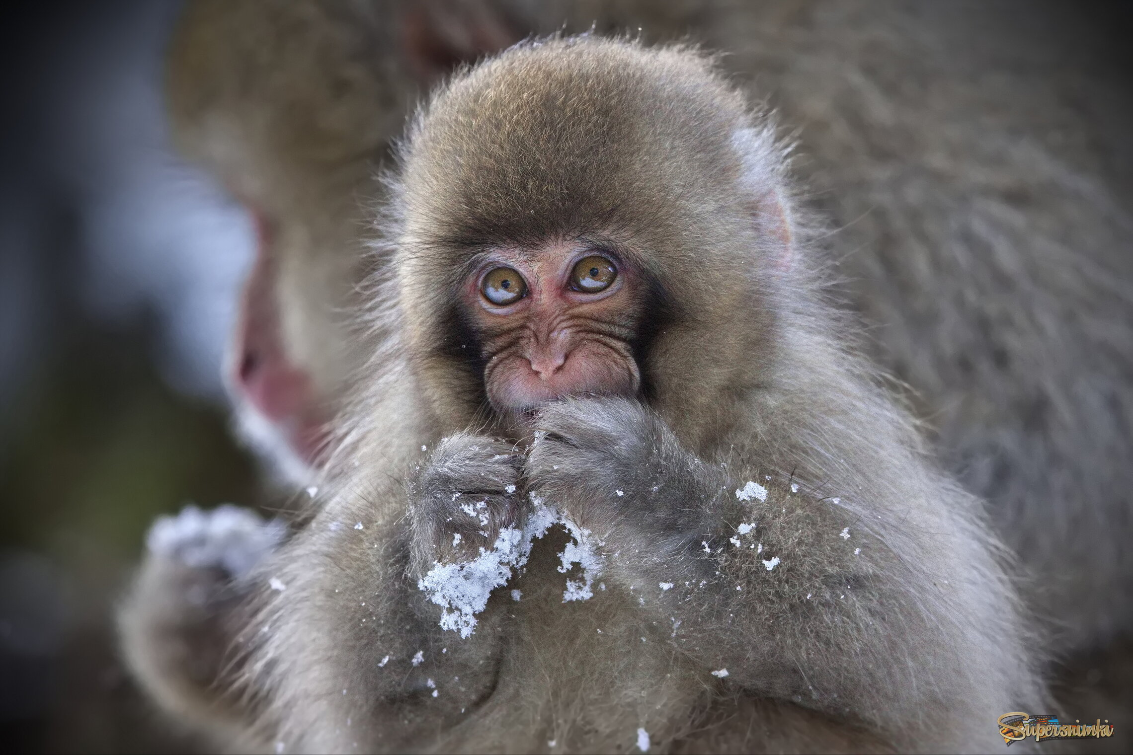 Лукавство - не порок!