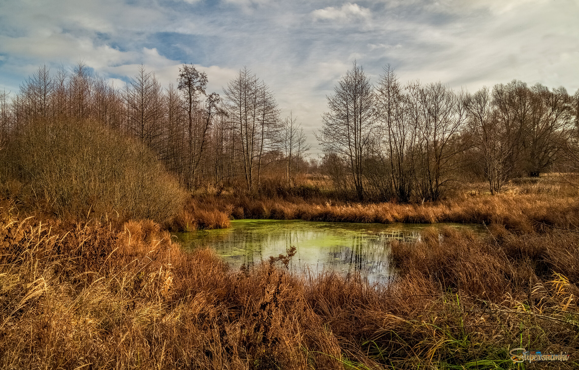 Осень не сдаётся 11 