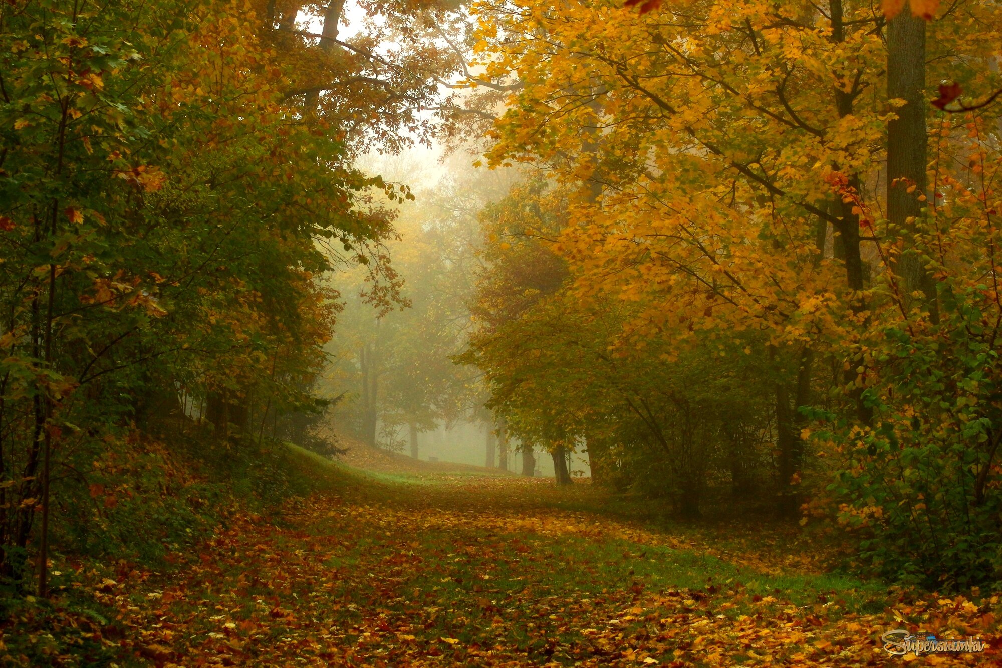 Осень,ноябрь