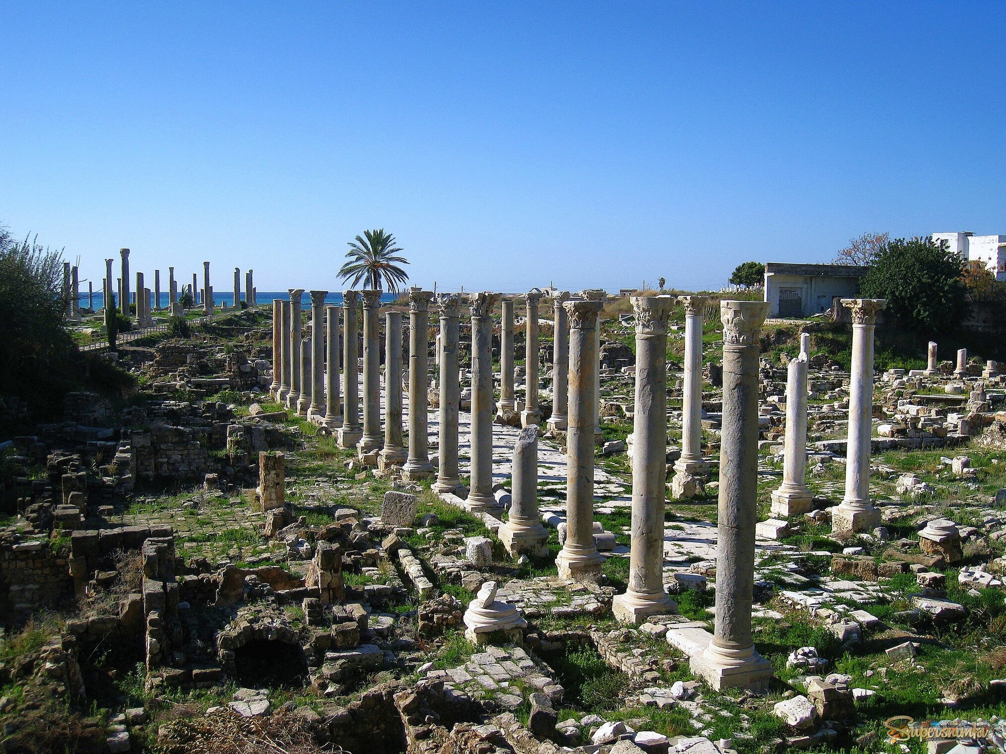 Развалины города Тир, Ливан.