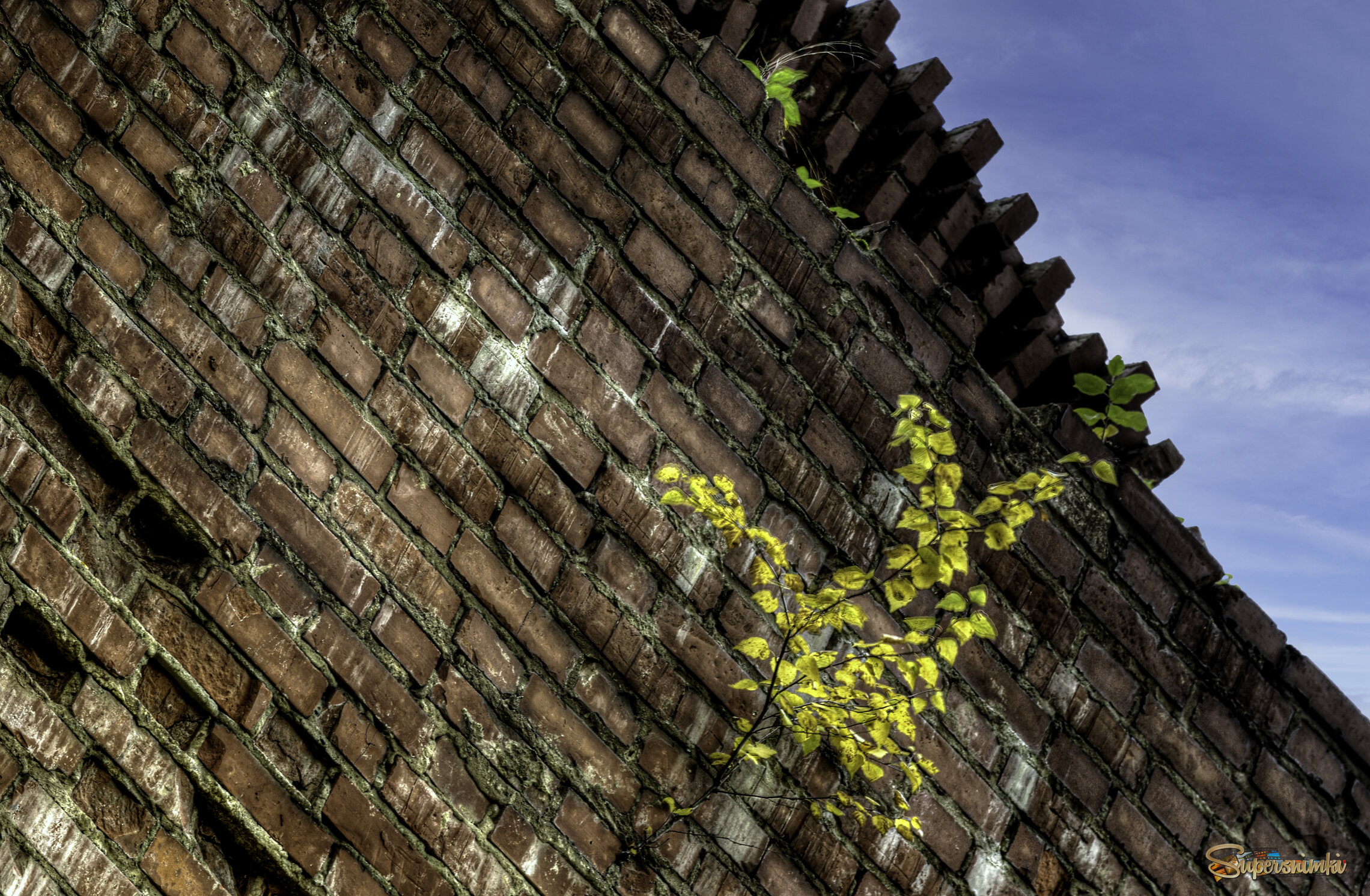 Симонов Успенский монастырь. Стена монастыря.