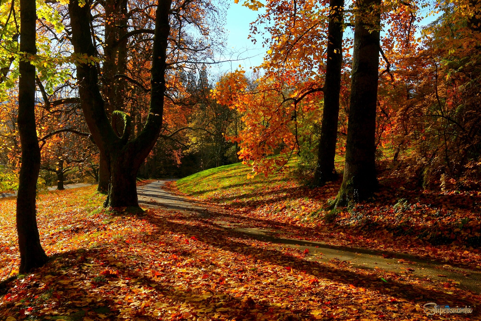 Разгулялась осень