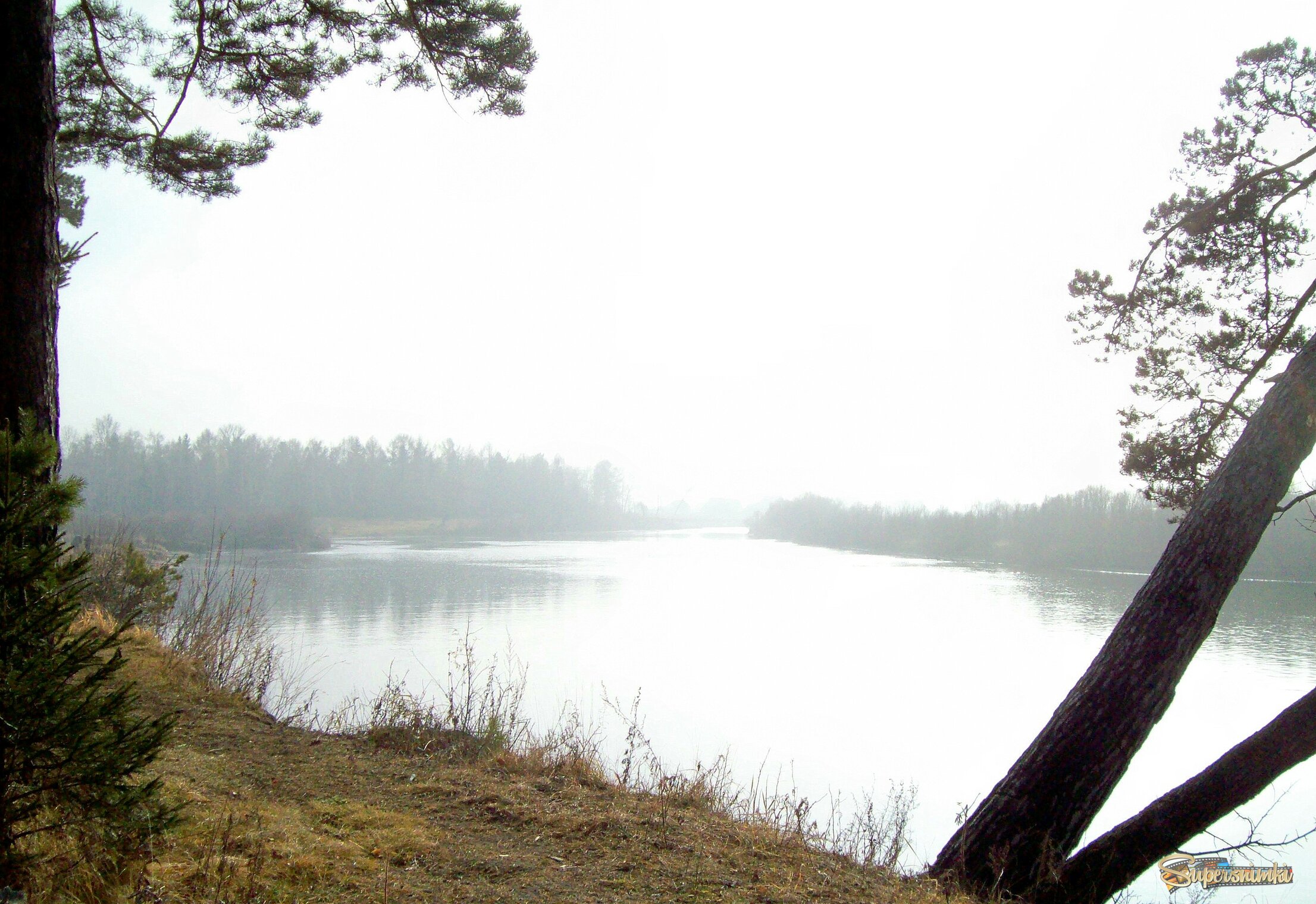 Утро туманное