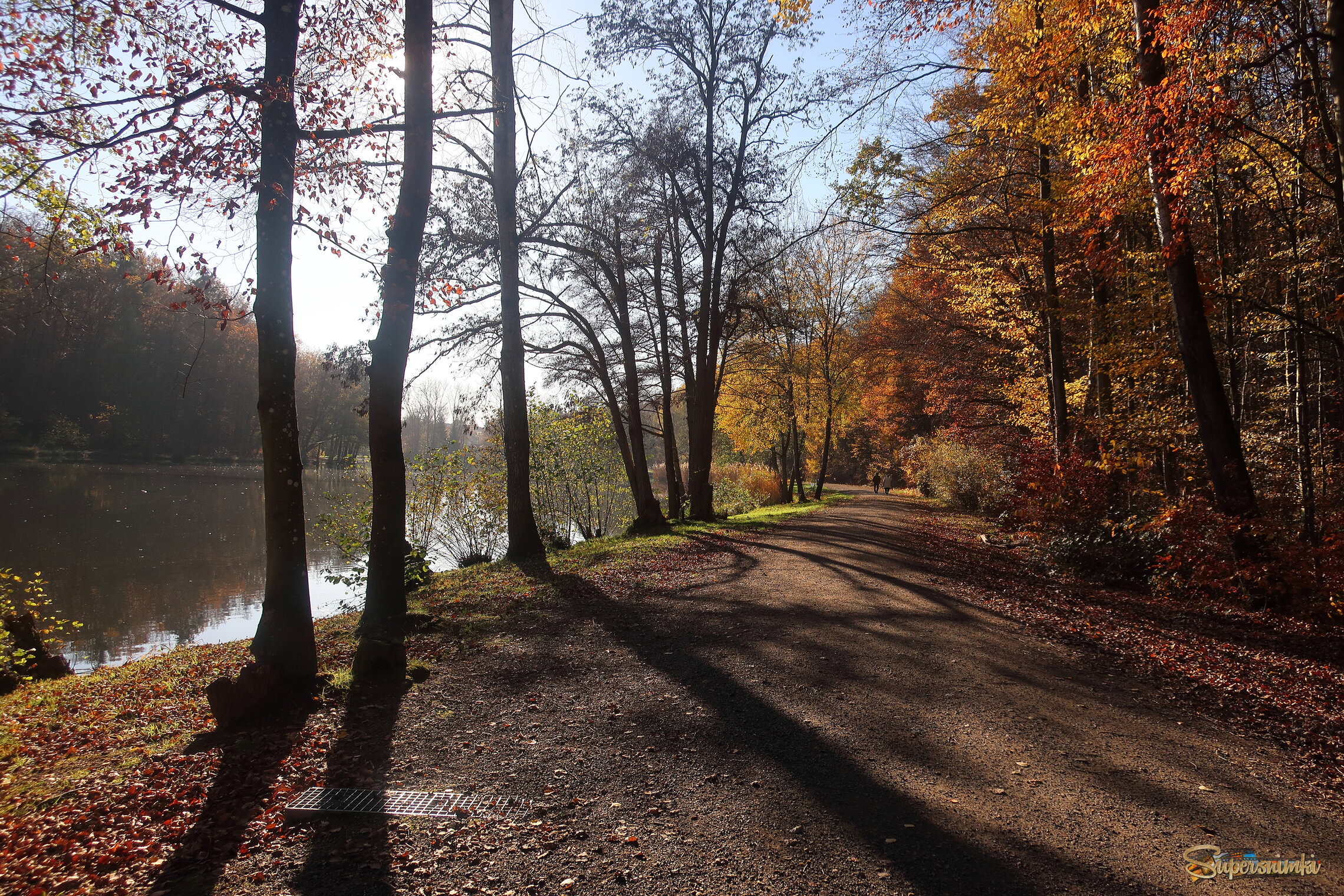 У озера в лесу...