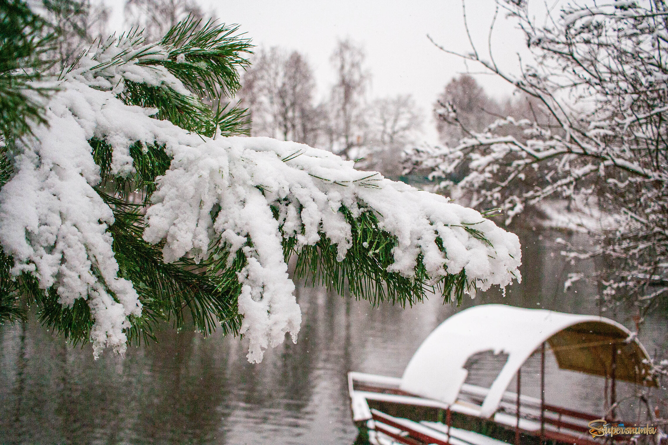 Подмосковье. Первый день зимы