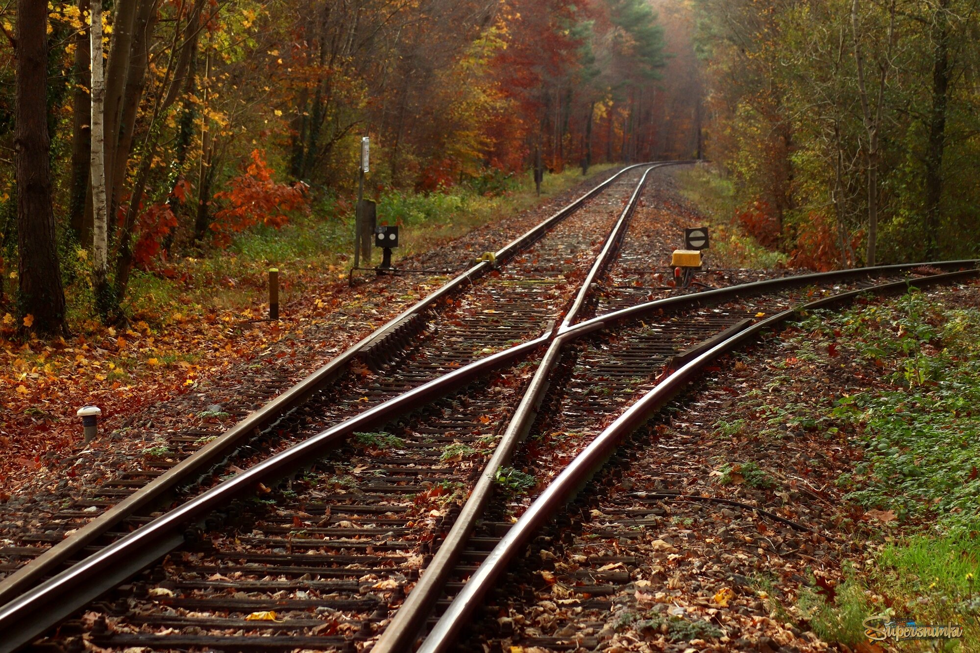 Вот новый поворот