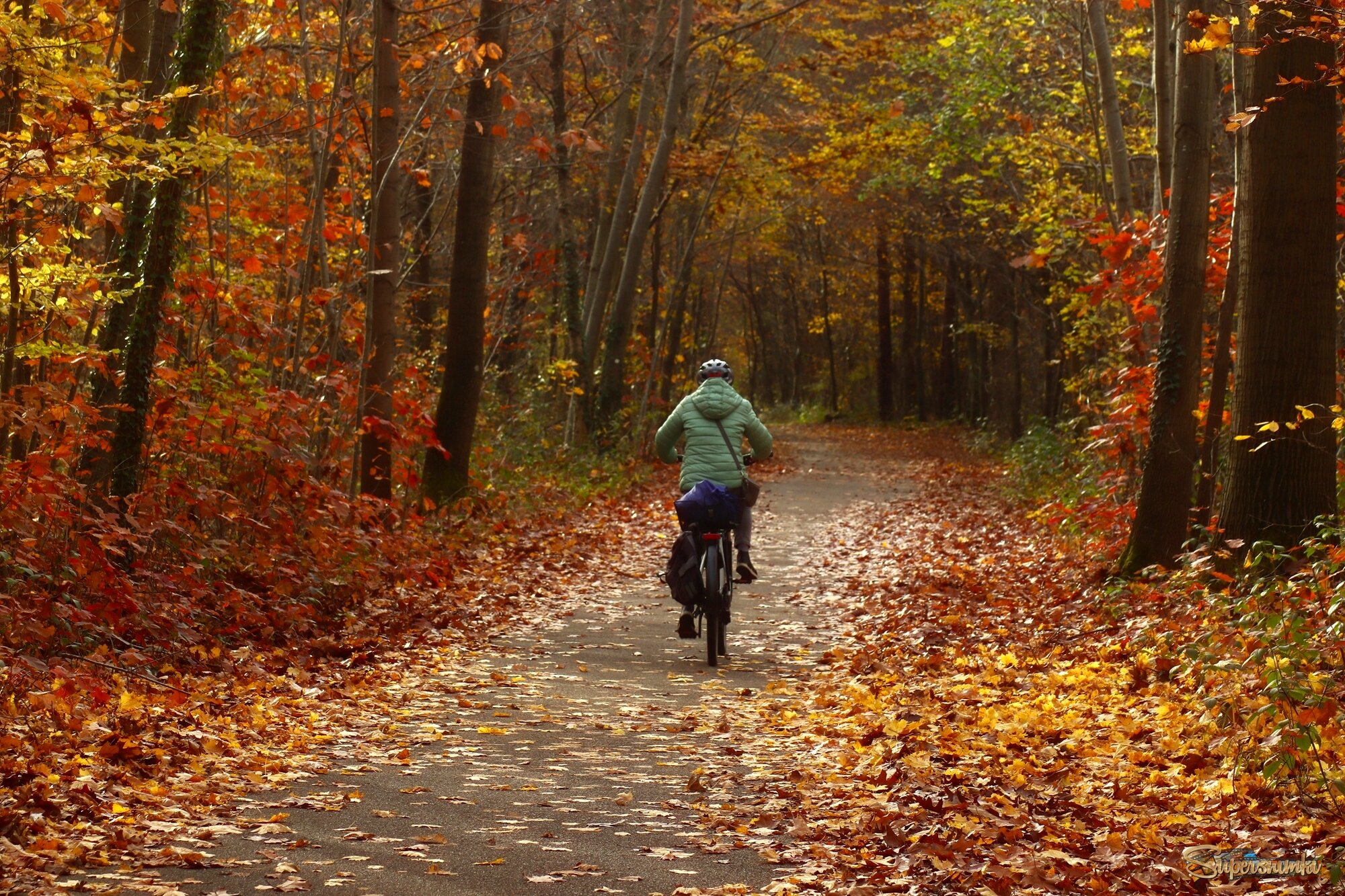 Осенние прогулки