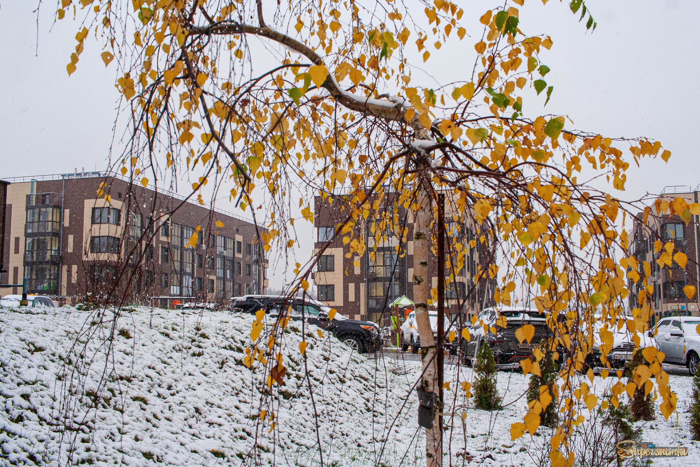Первый снег. В подмосковье пришла зима.