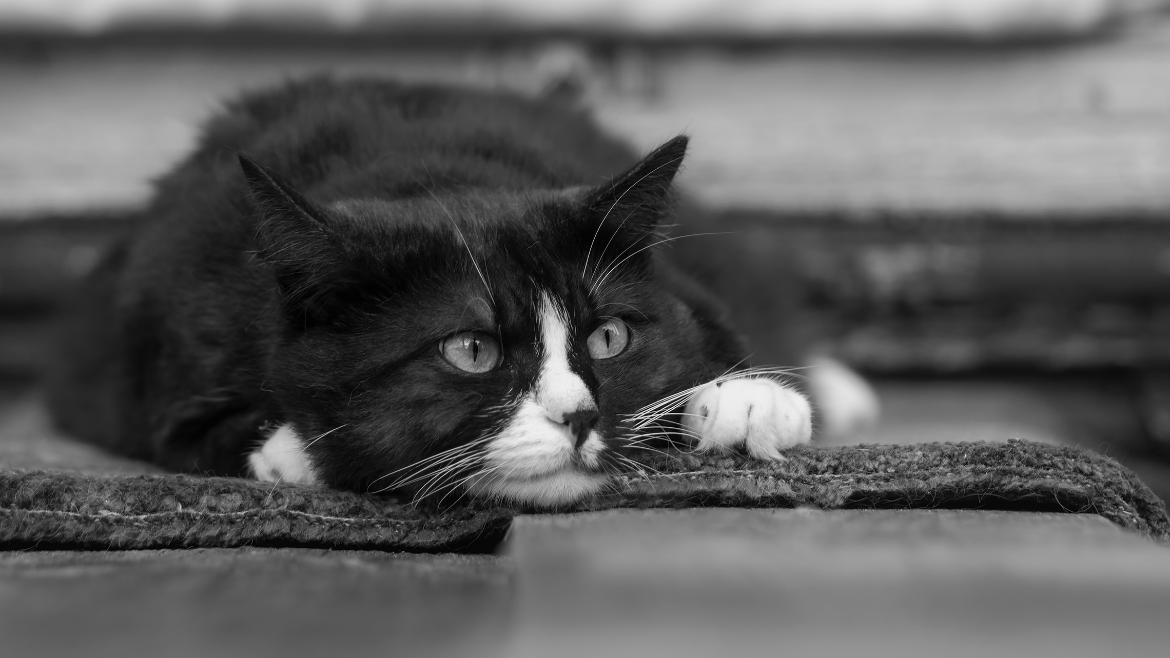 Привезли меня на дачу