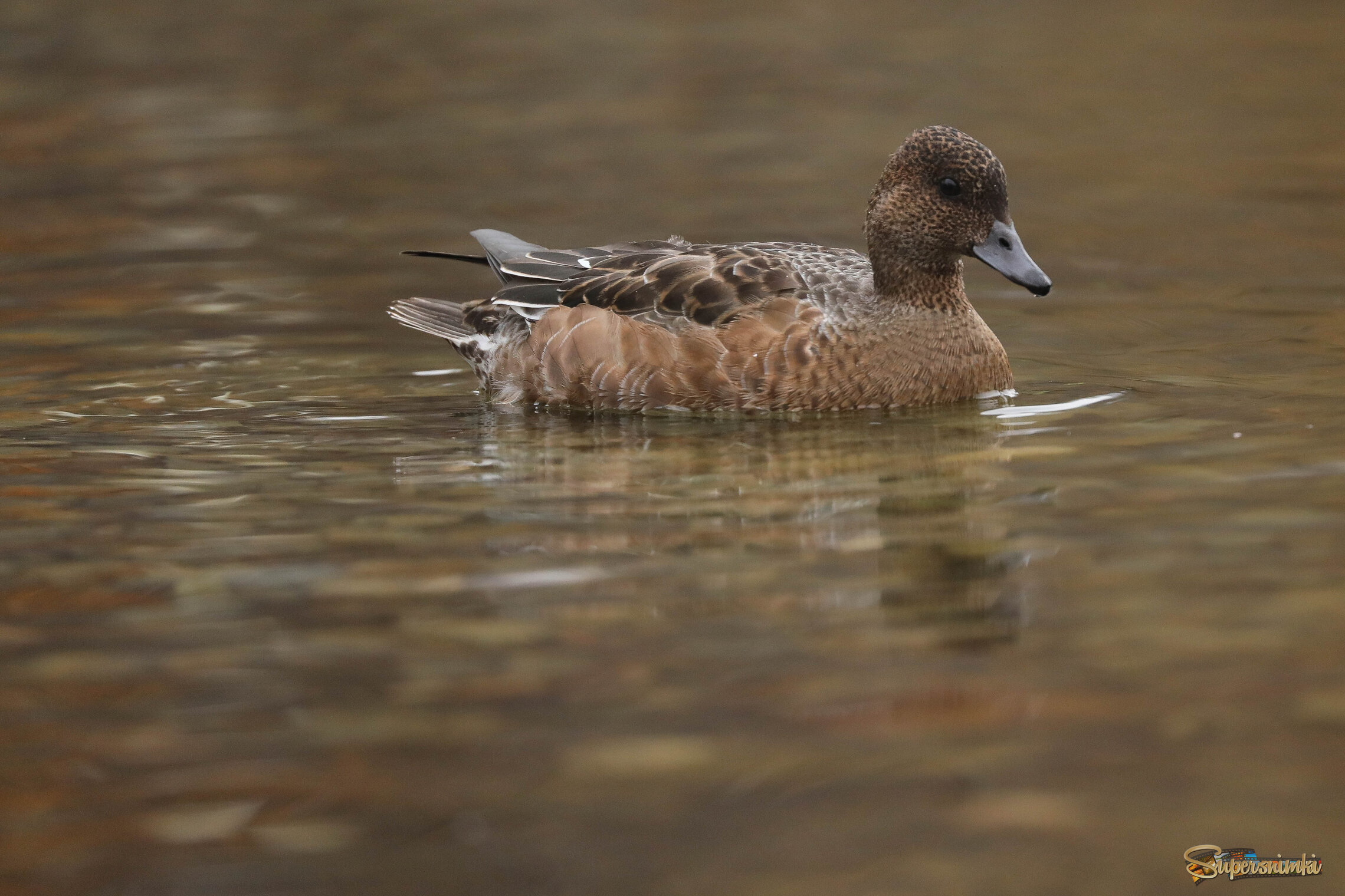 В гармонии с осенью