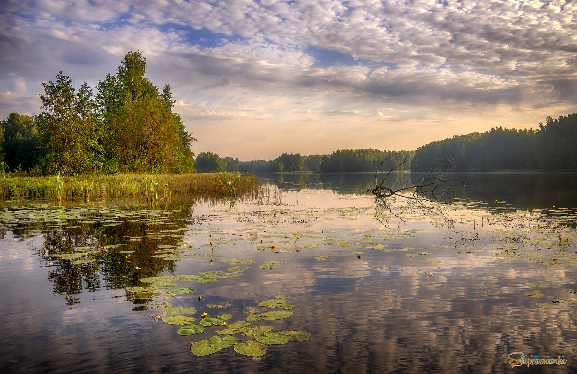 6919b33c718cd0021c09687b