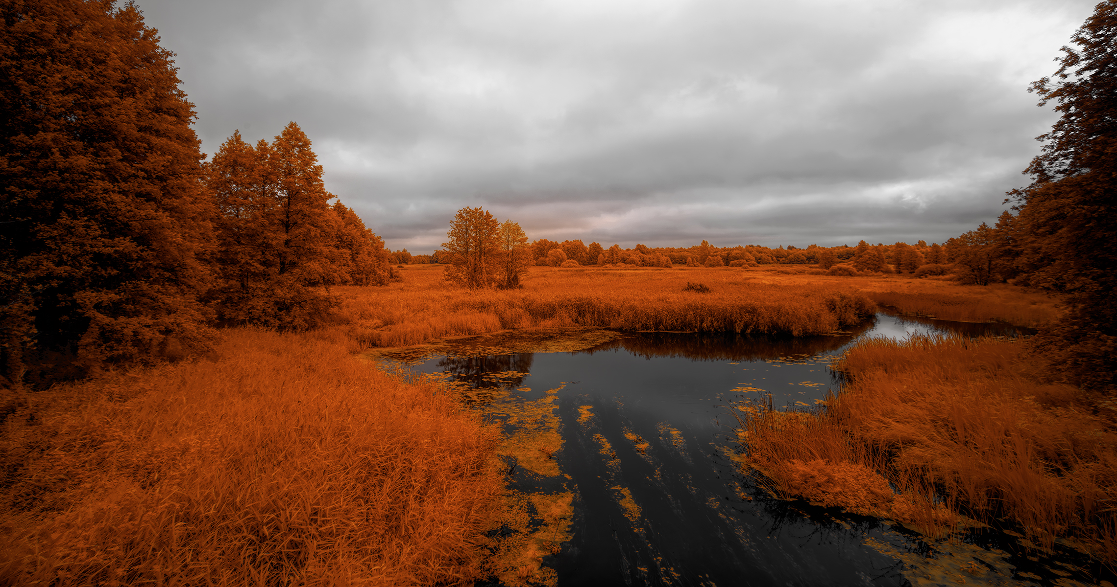 Пасмурный август