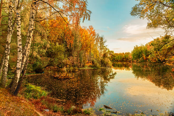 Старый пруд