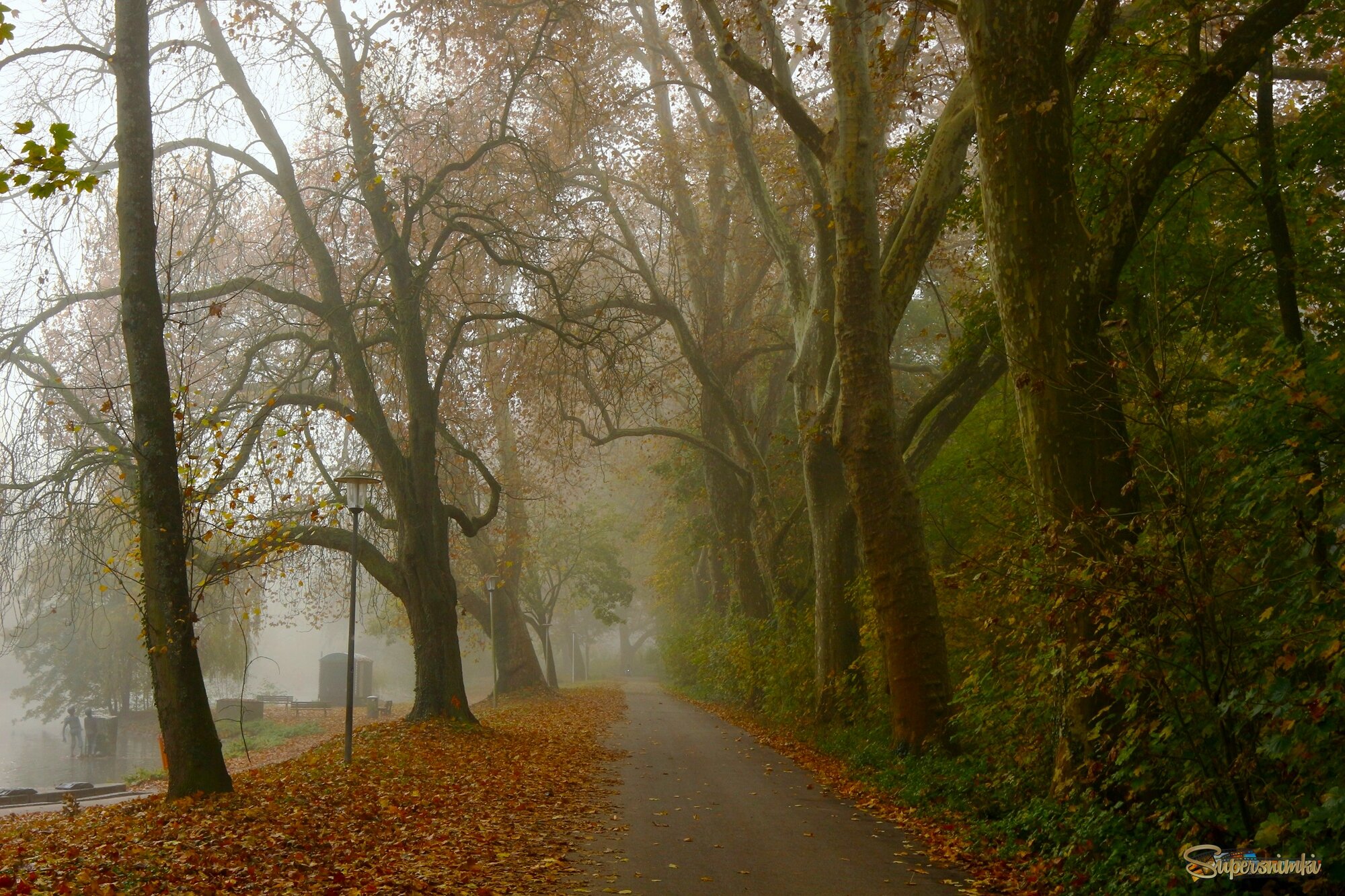 Утро ноября