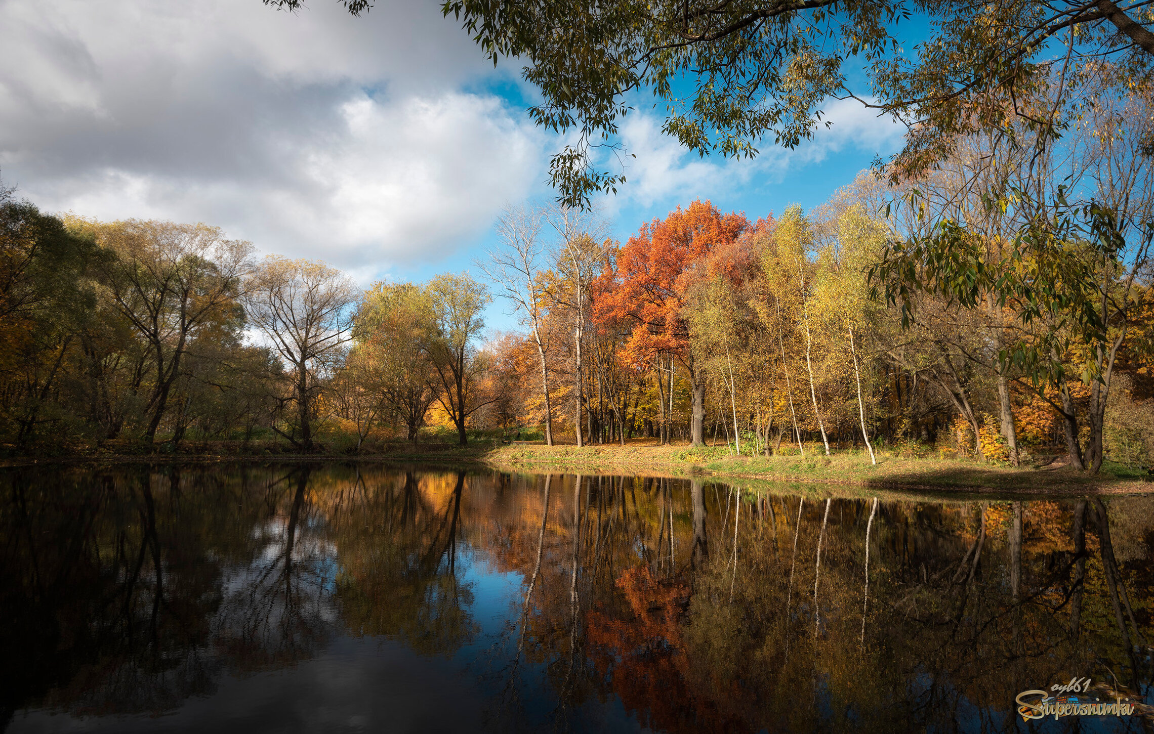 Прозрачная осень