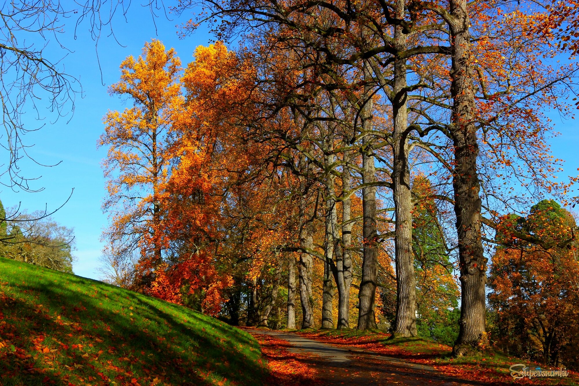 Осенняя дорожка