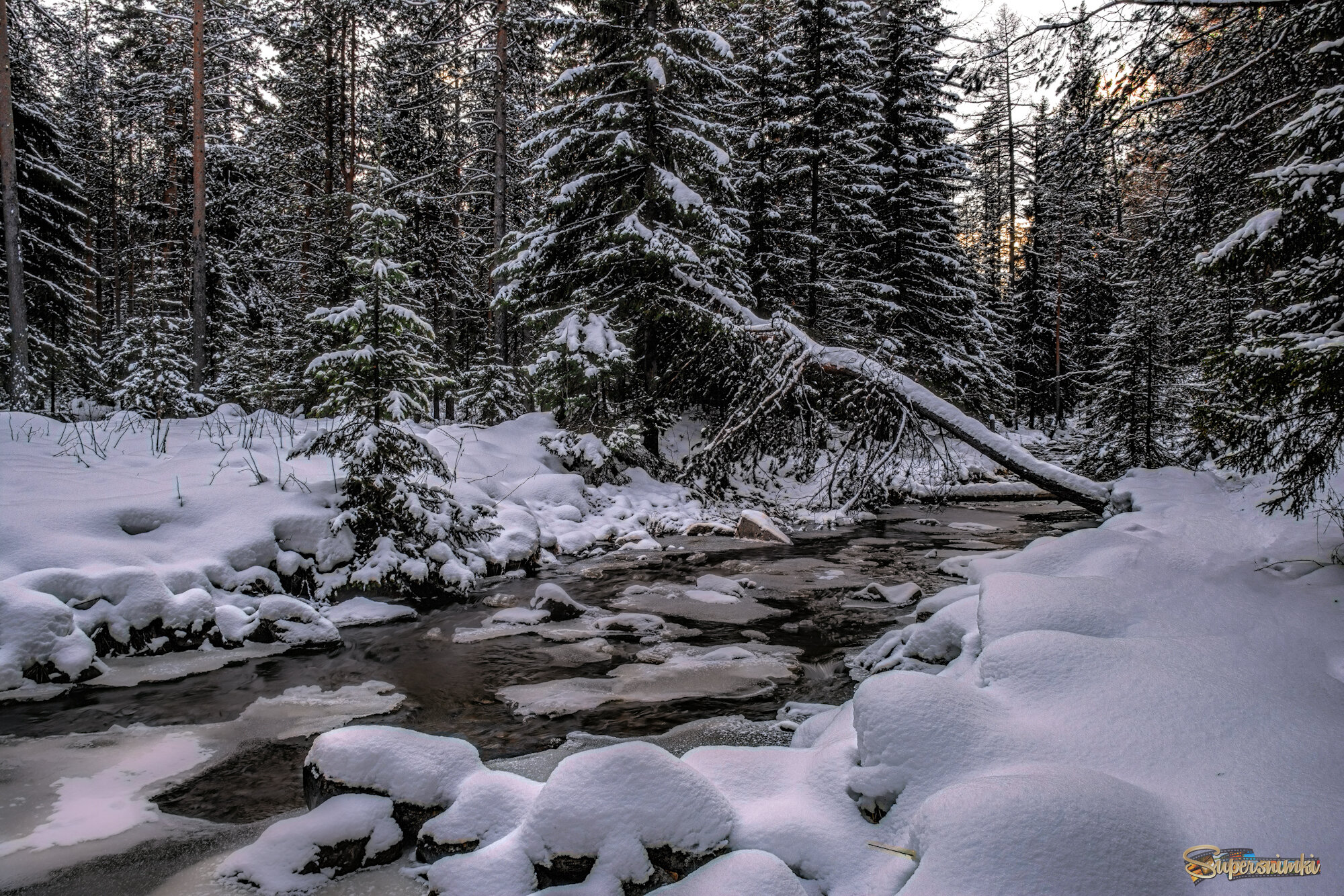 Первый снег 