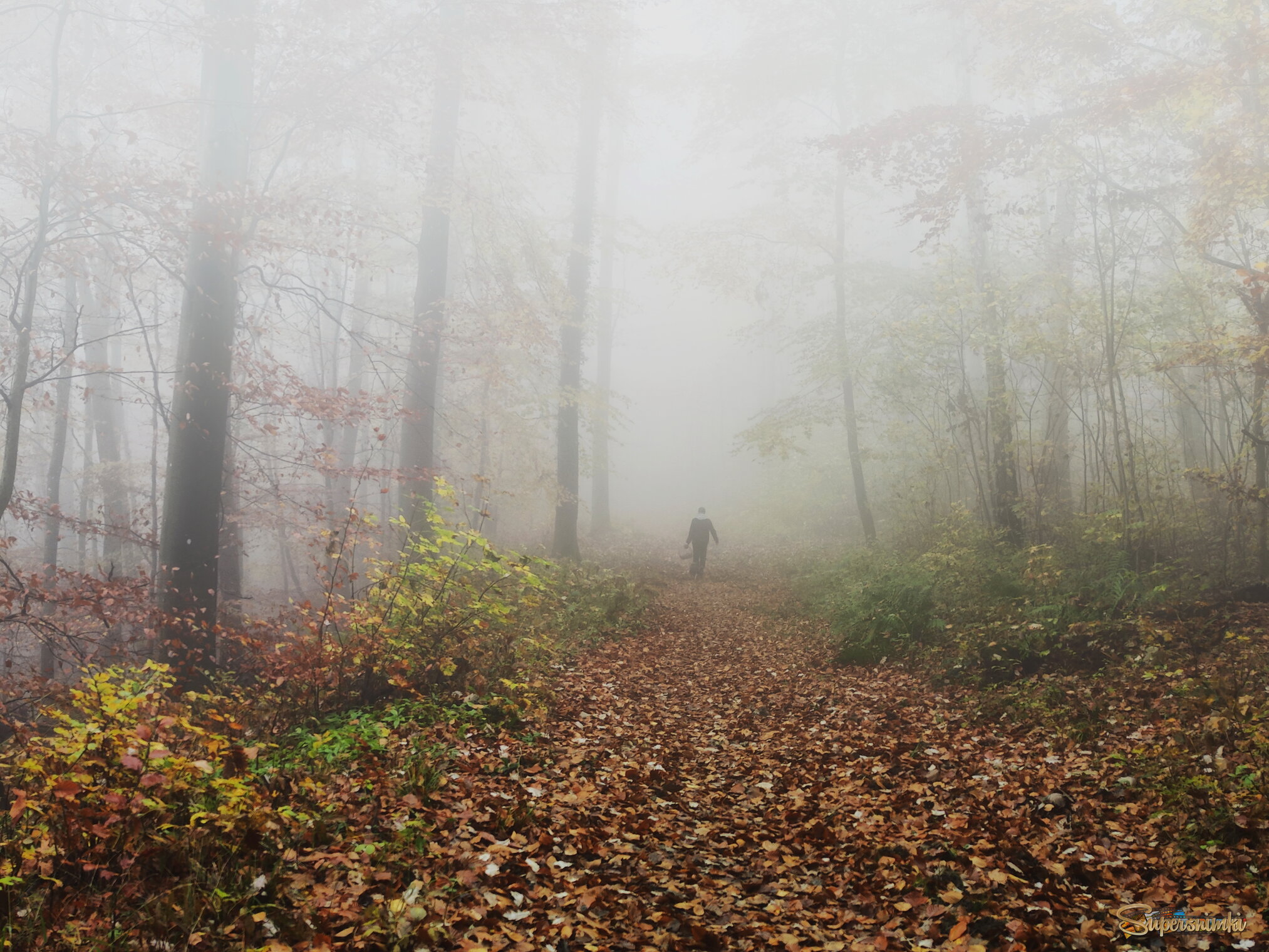 Уходящий в туман...