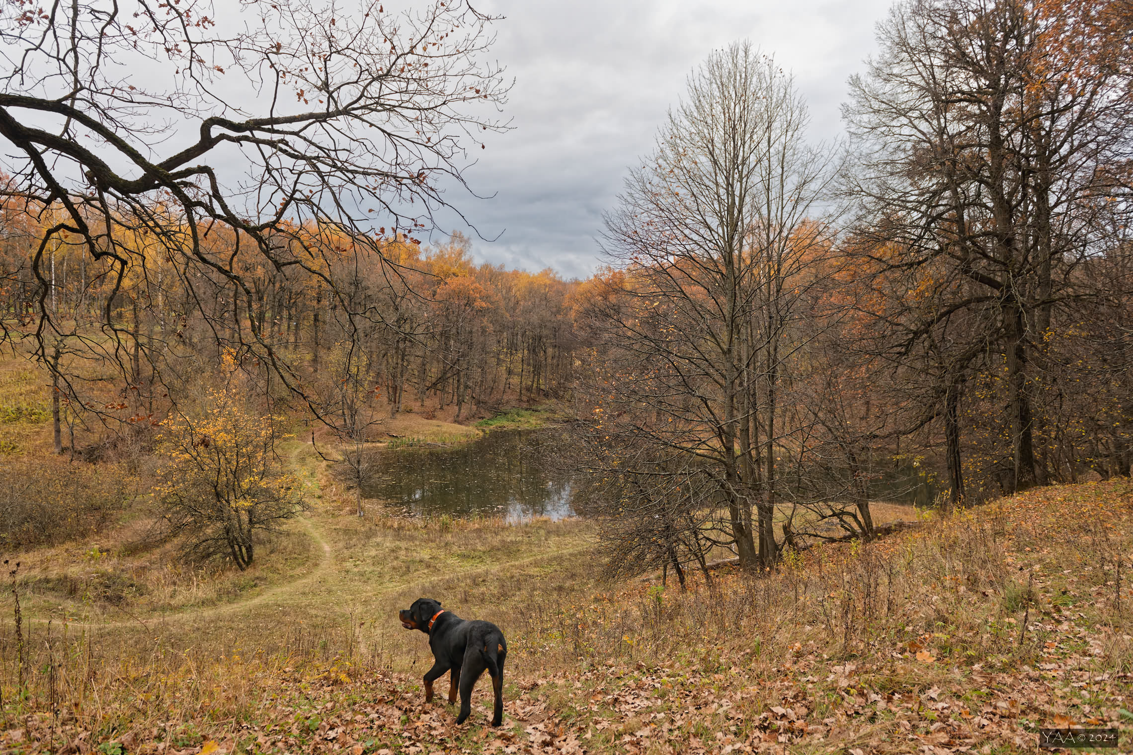 Ноябрь vs декабрь. 2019 vs 24. Что поменялось за 5 лет...