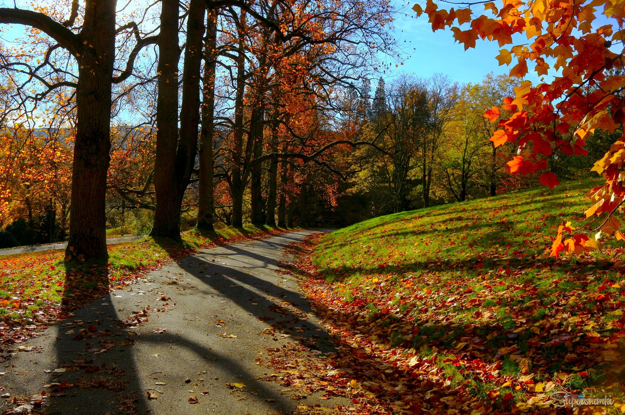 Солнечное утро