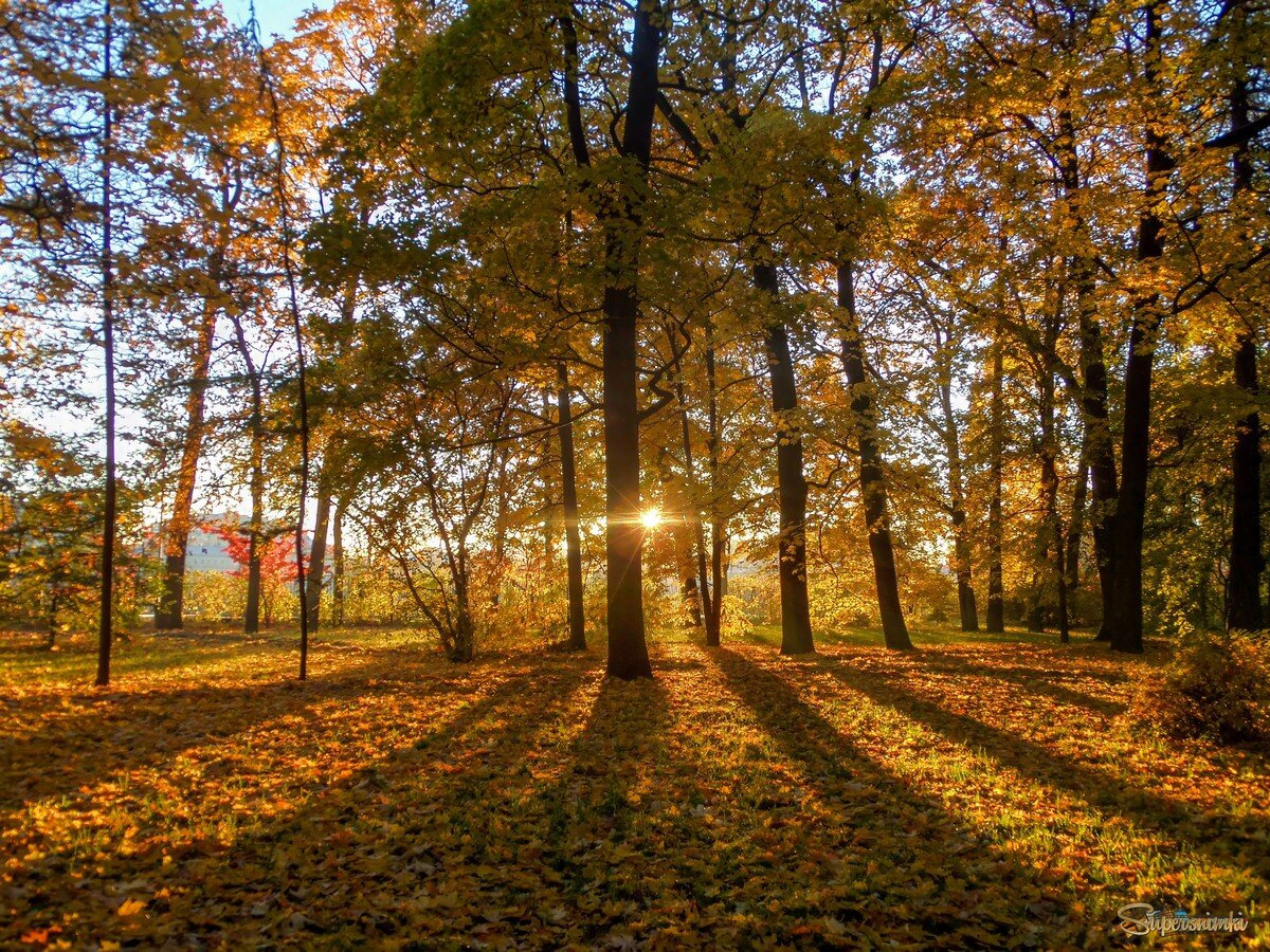 Свет и тени...............