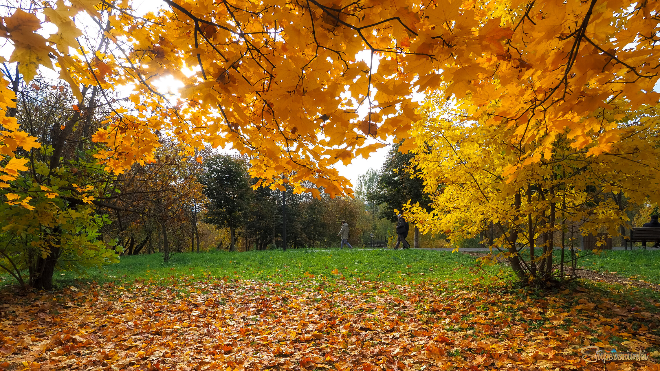 Осенний Сюжет