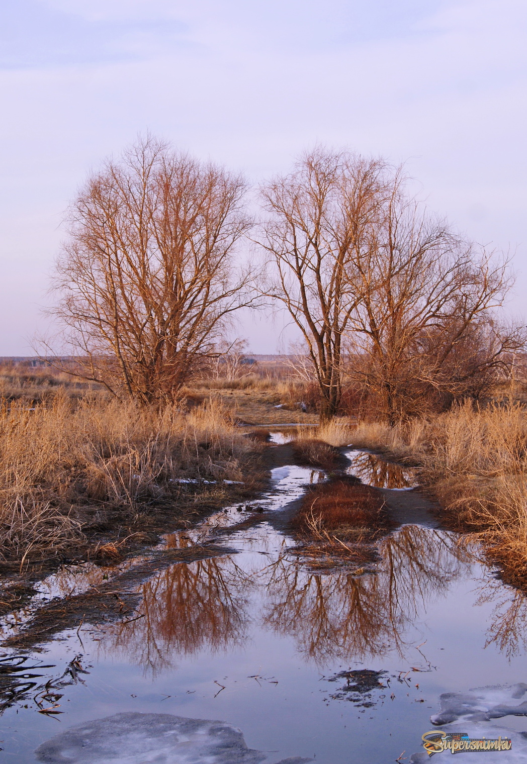 691c3c161608d4e3ae09687c