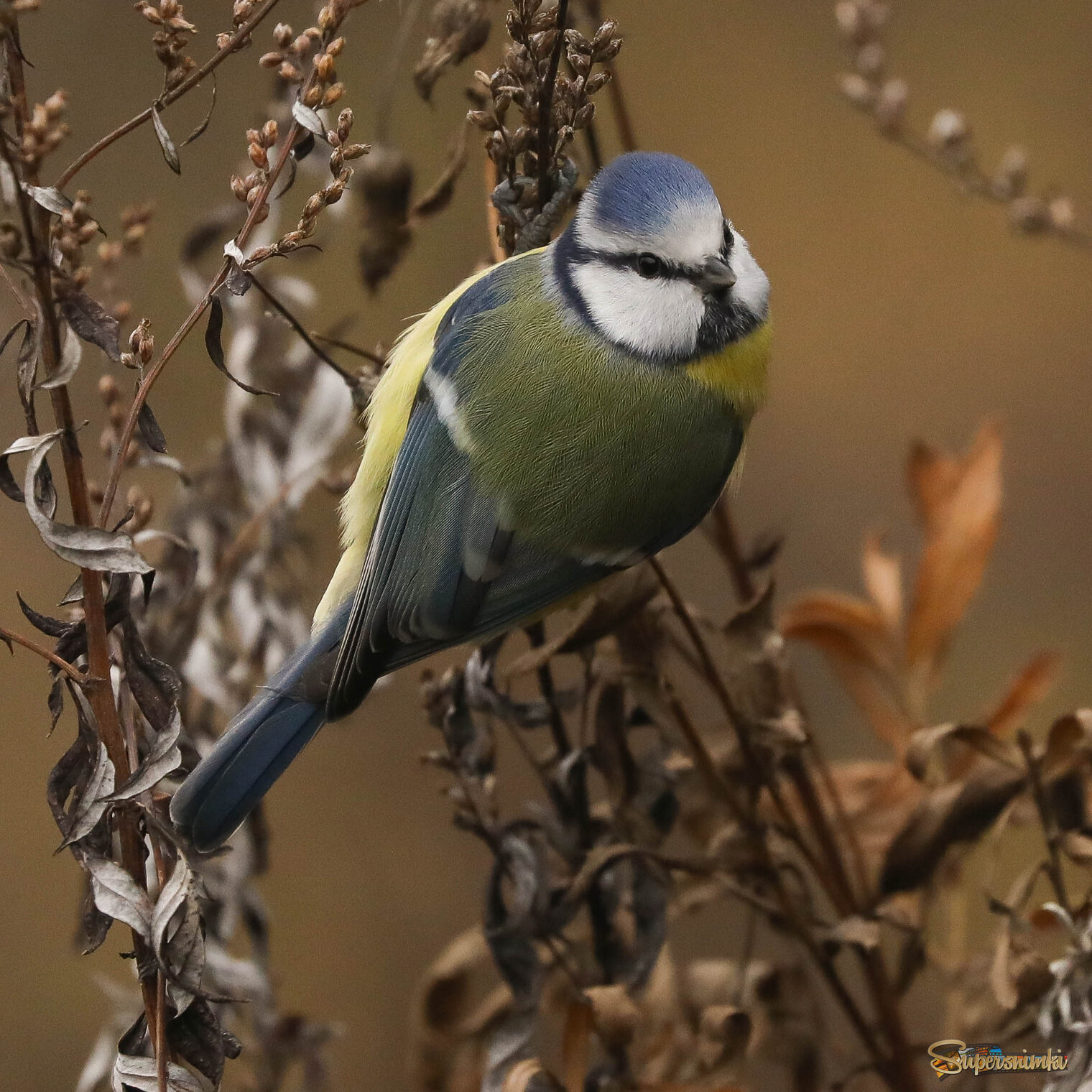 Поворот на 180