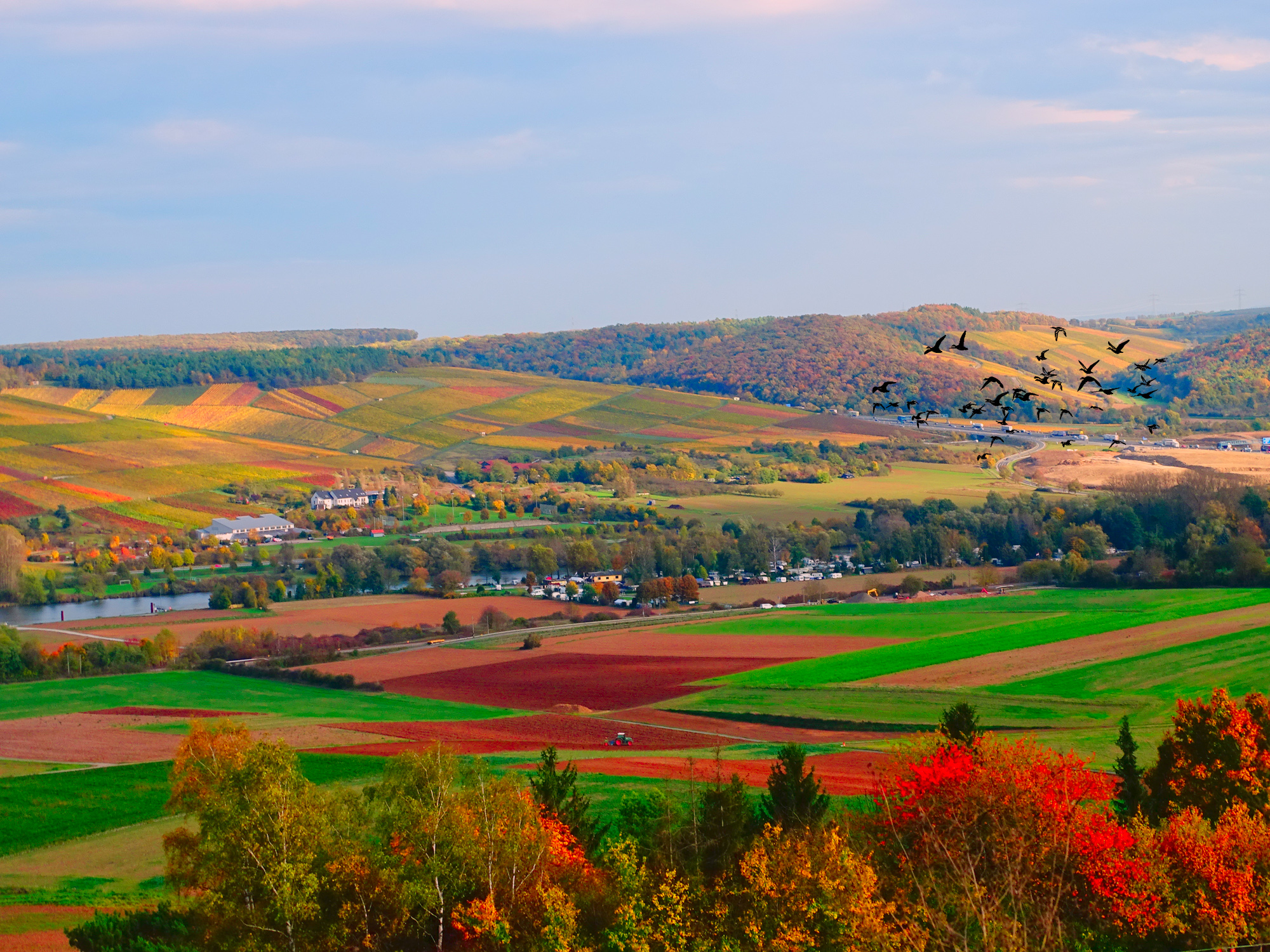 Краски осени.