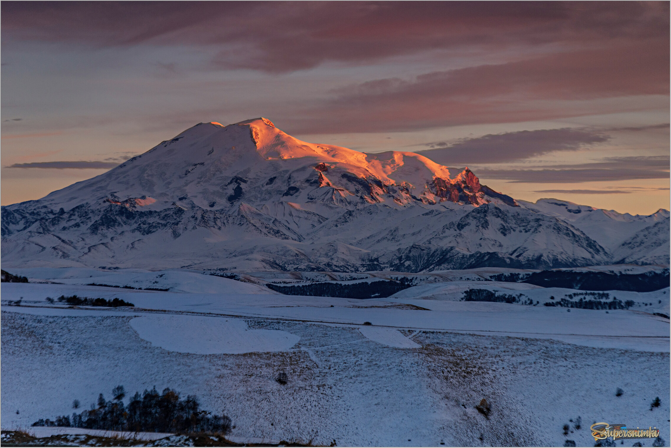 Розовый фламинго в лучах заката...