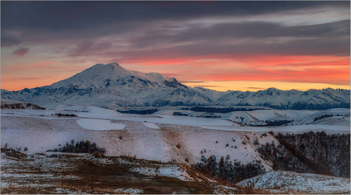Розовый фламинго в лучах заката...
