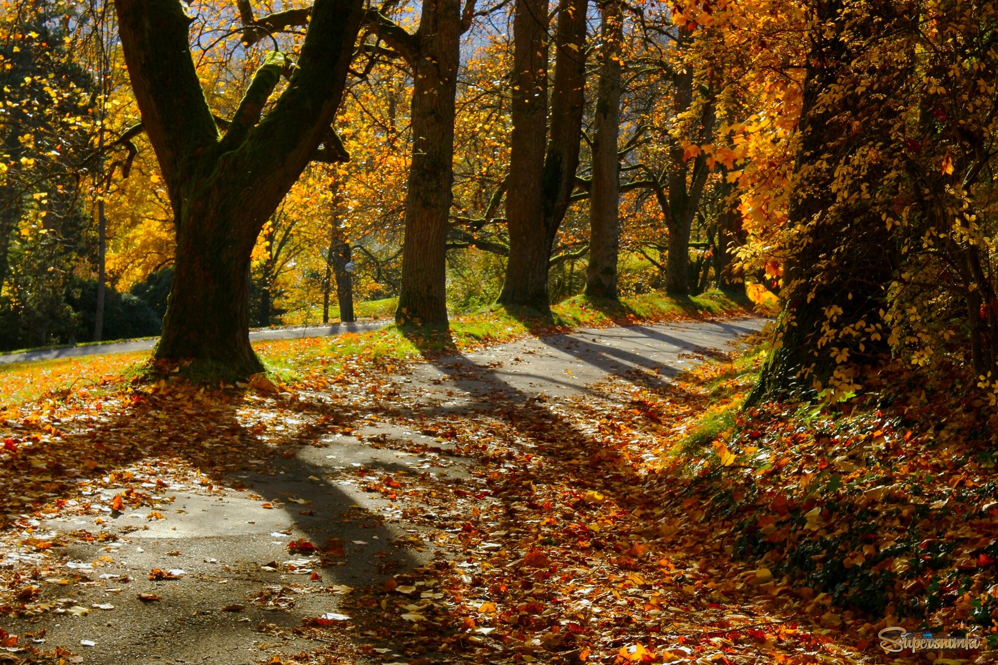 Осенняя дорожка