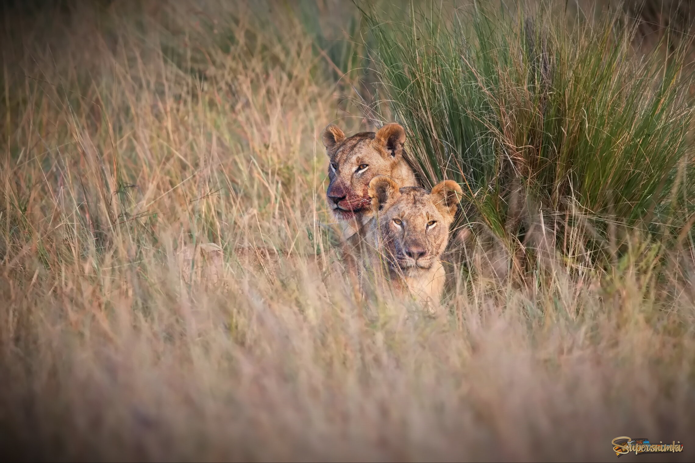 После охоты