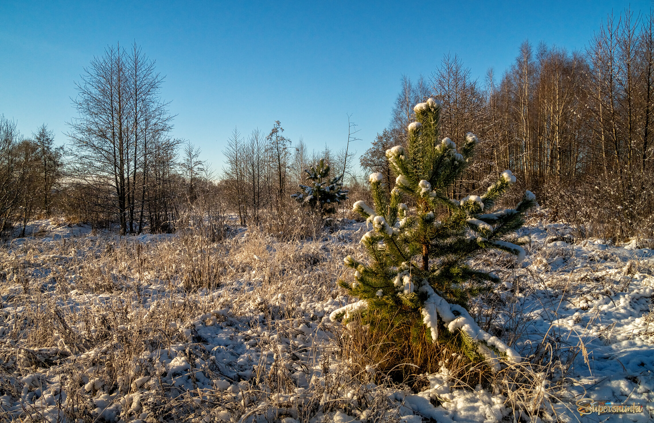 Первый снег 6