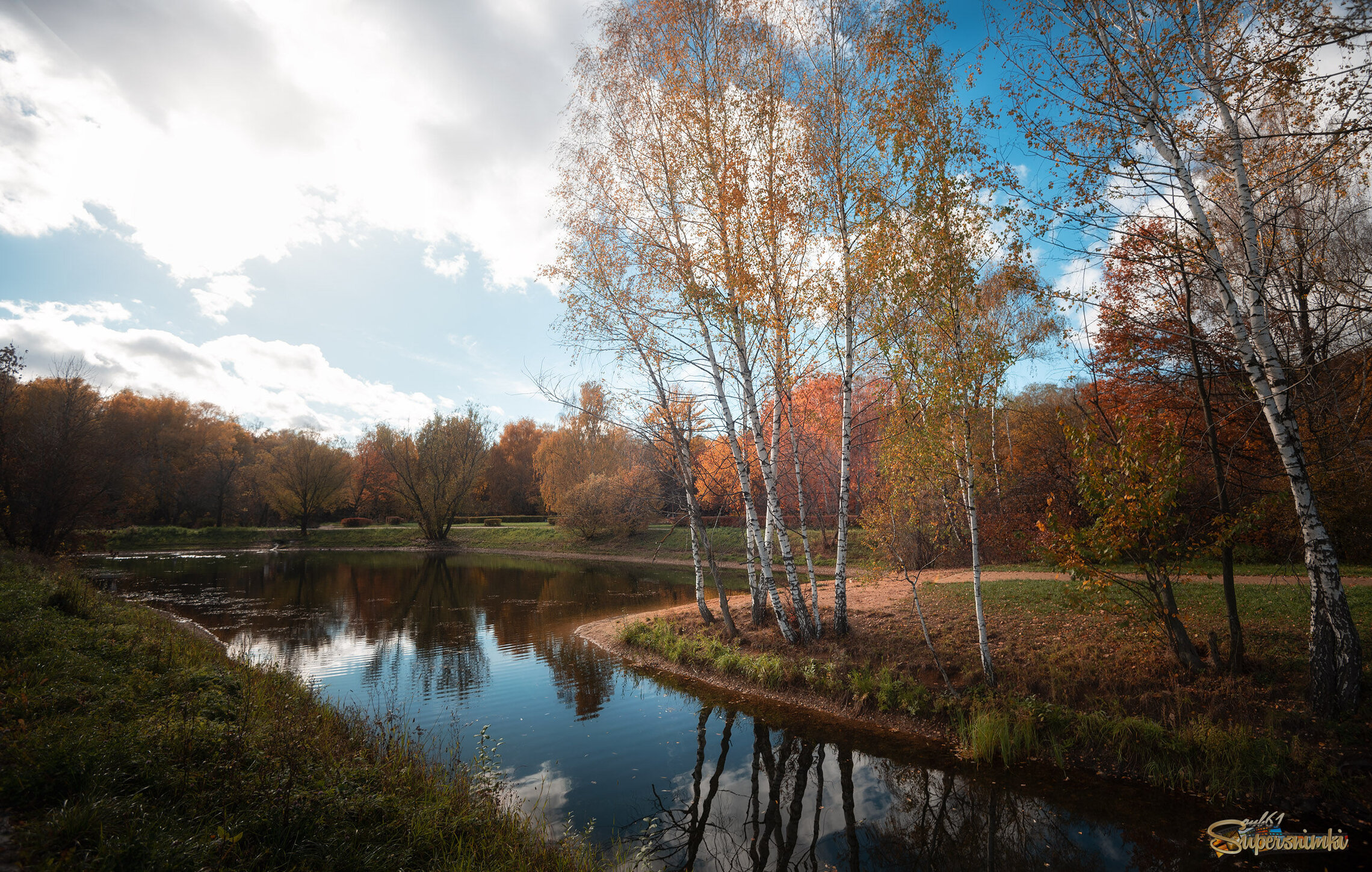 Березки в акварелях октября