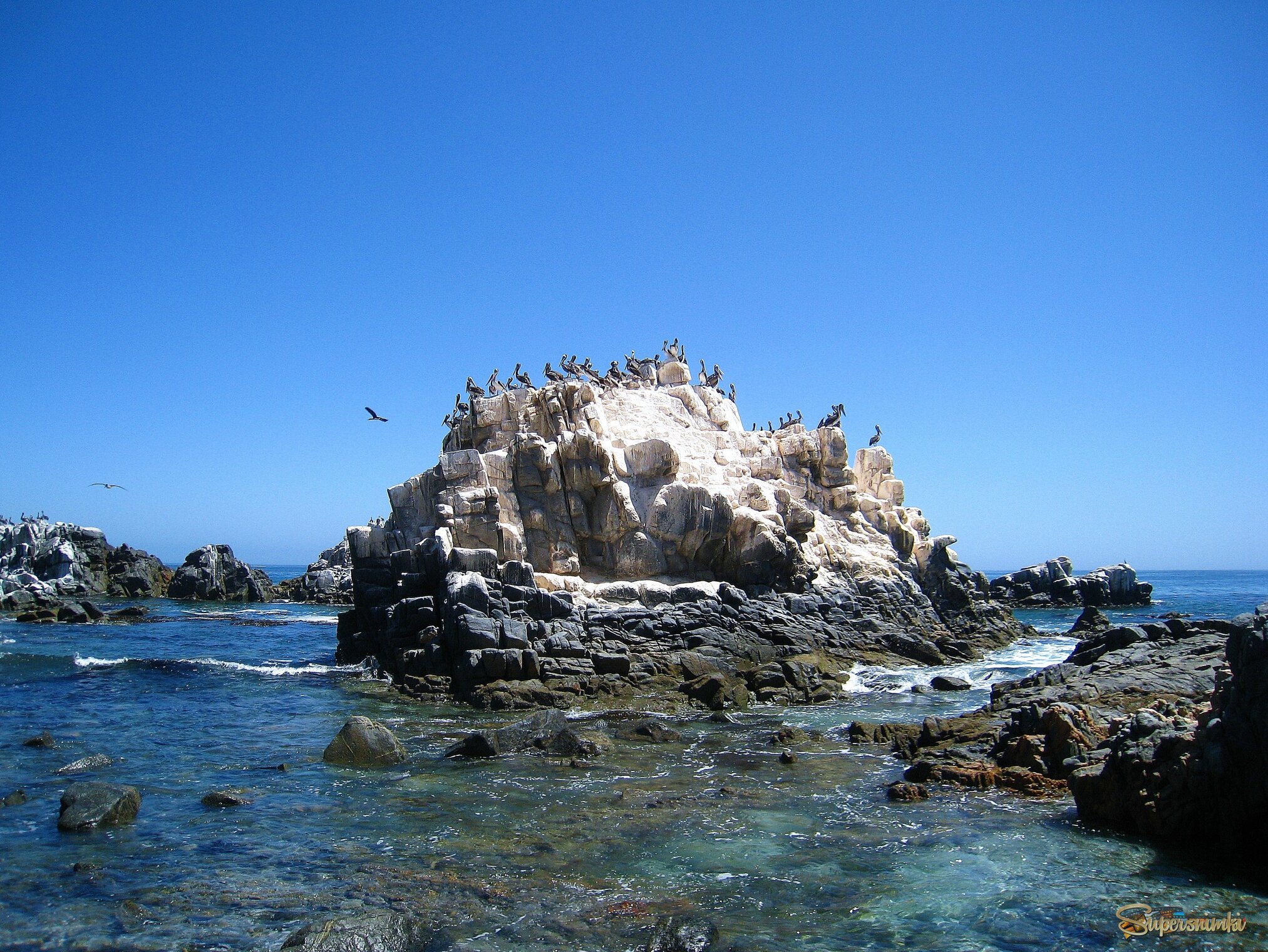 На Тихом океане.