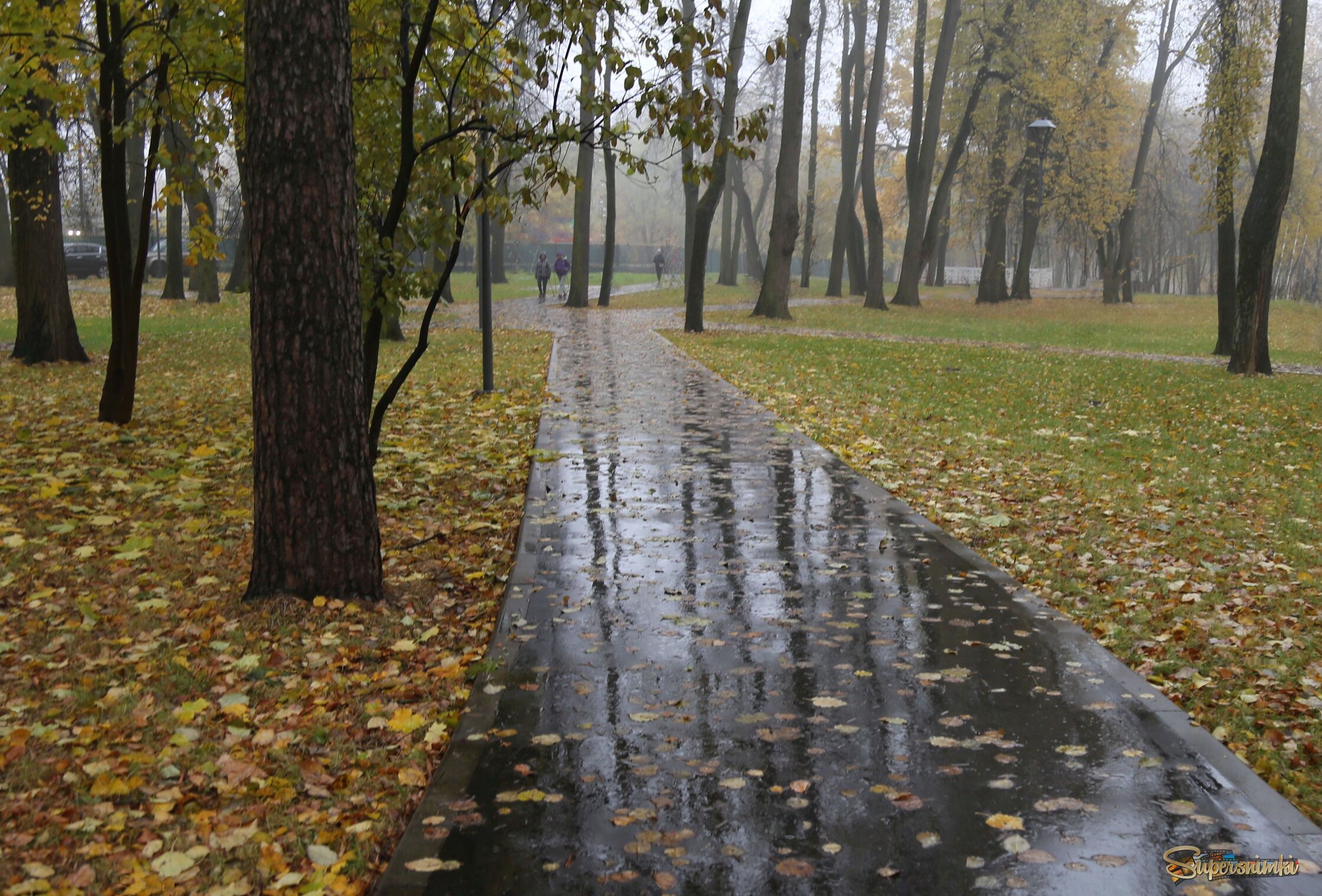 Мокрая дорожка