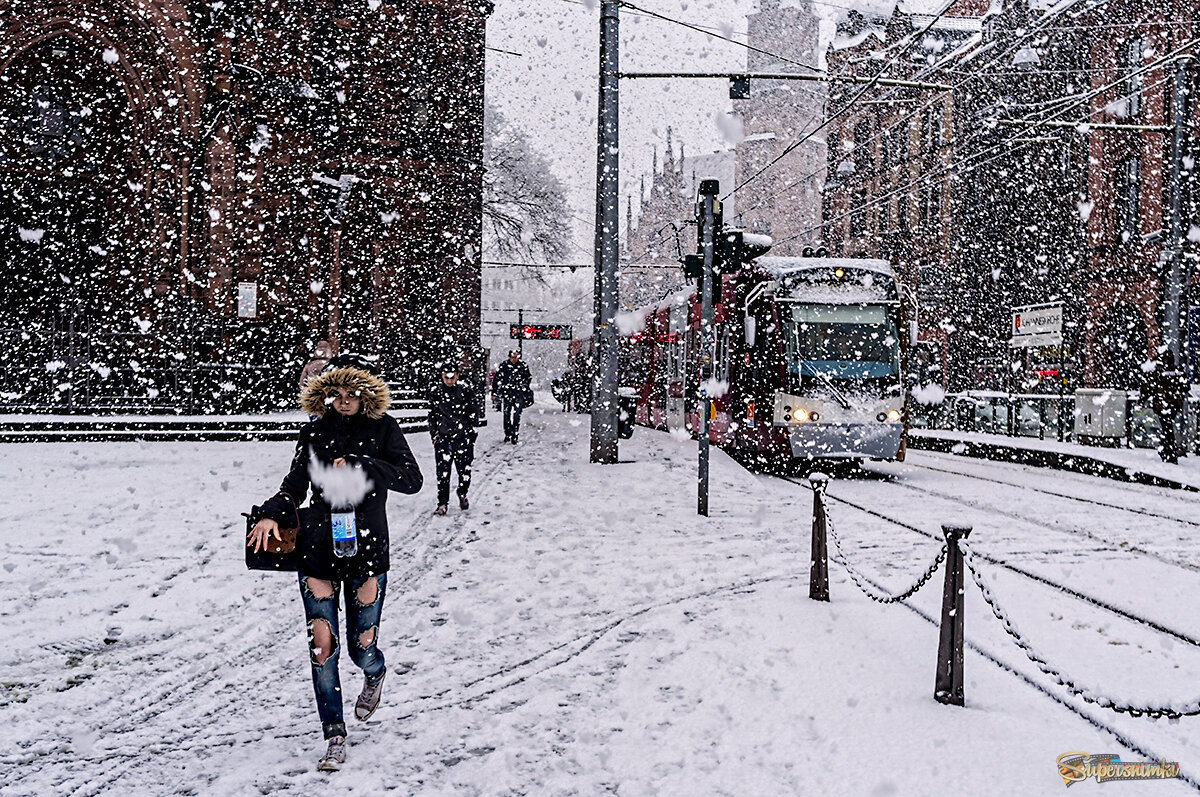 Снег в марте... 