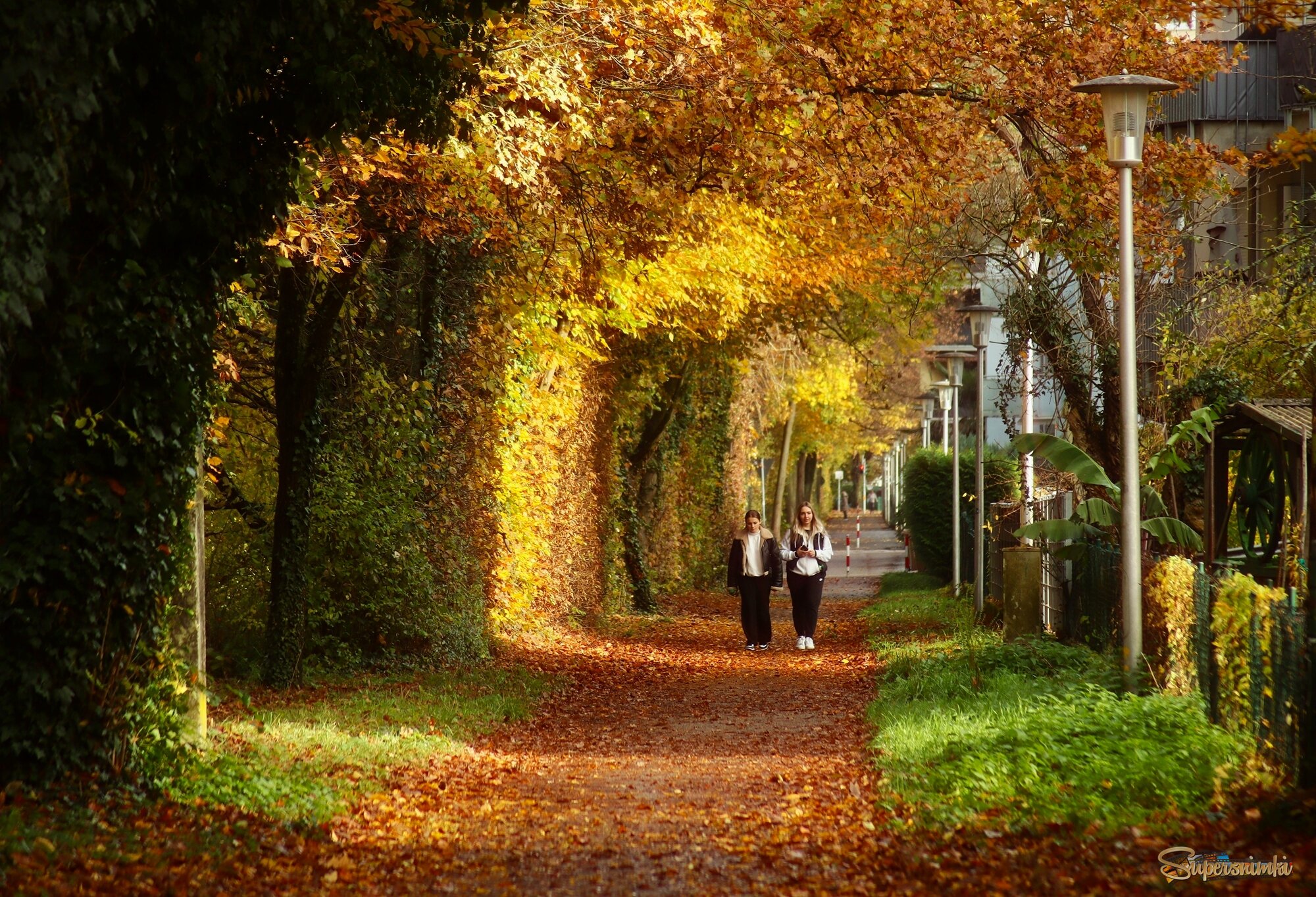 Под аркой осени