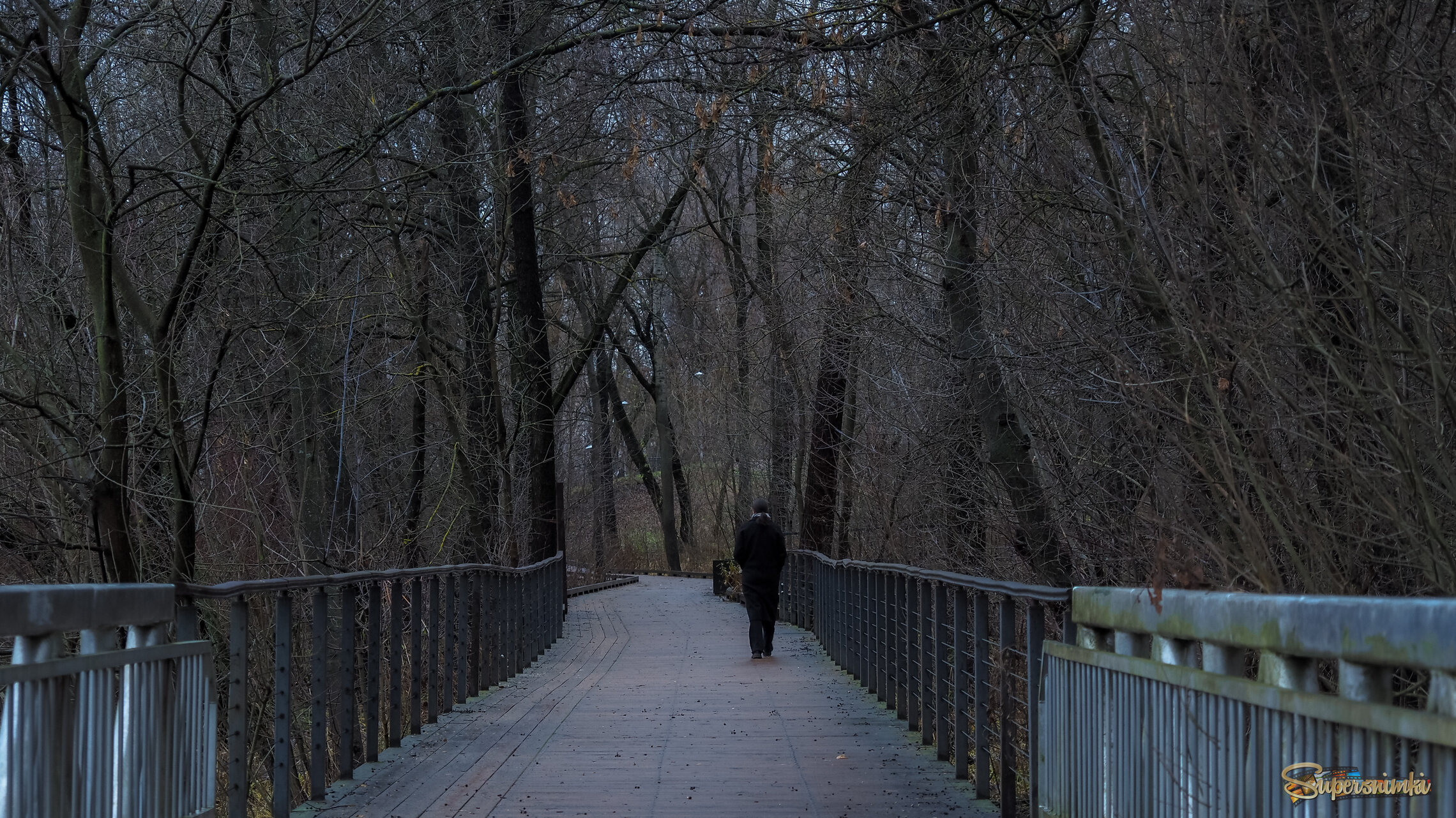 По Осеннему Парку