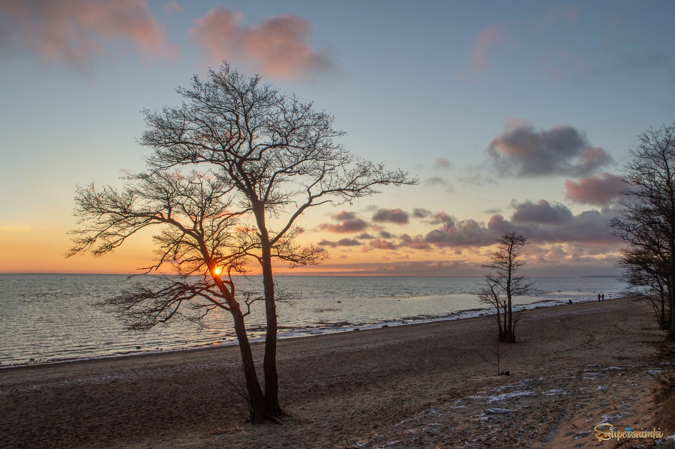 Вечерний променад...........