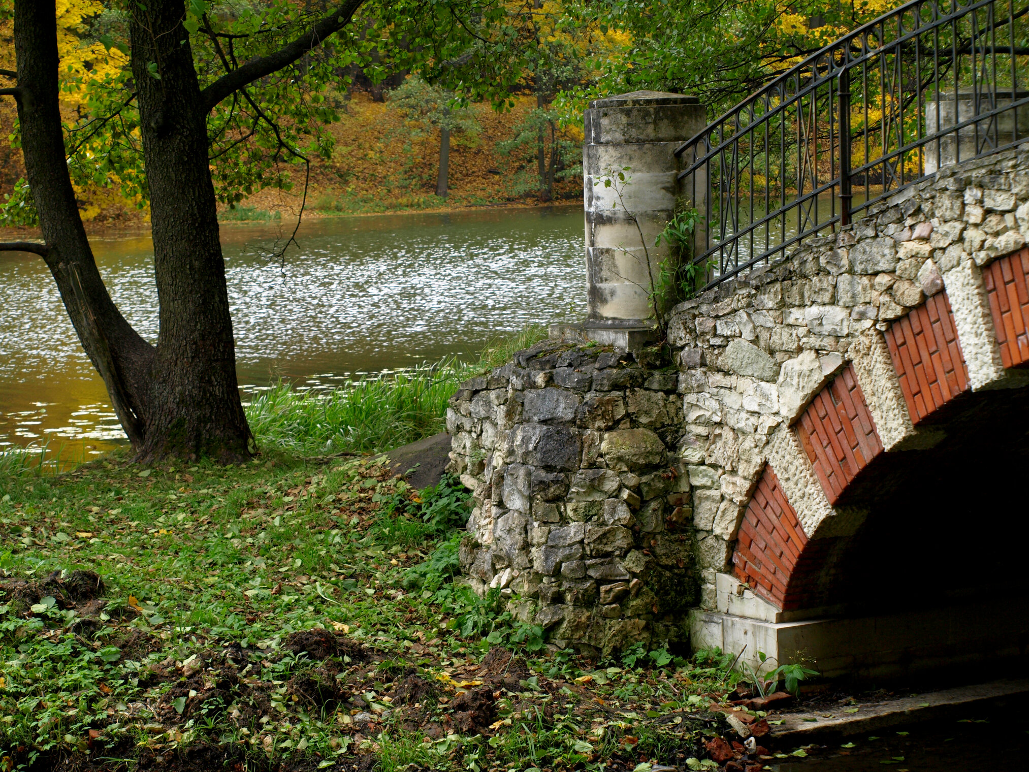 Кузьминский парк