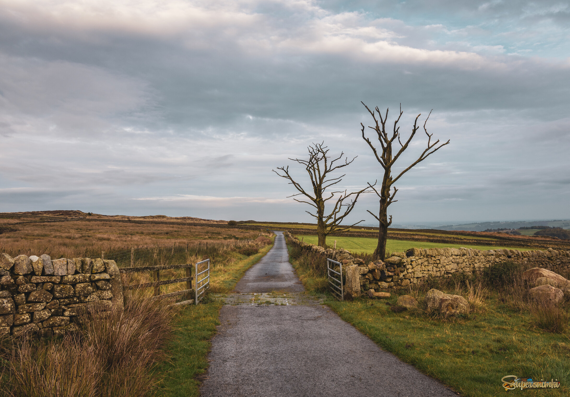 Осенний пейзаж