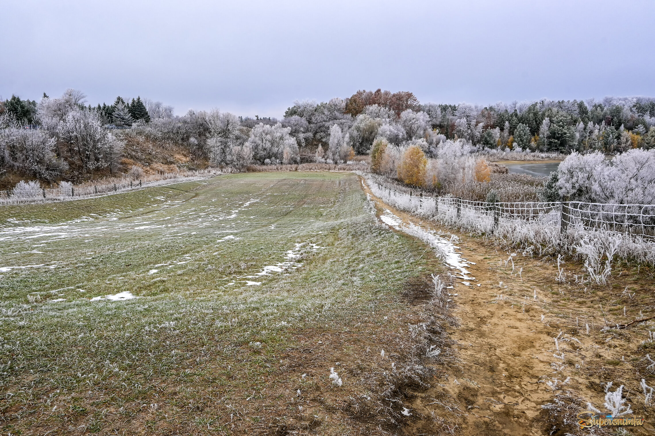 После ночных заморозков