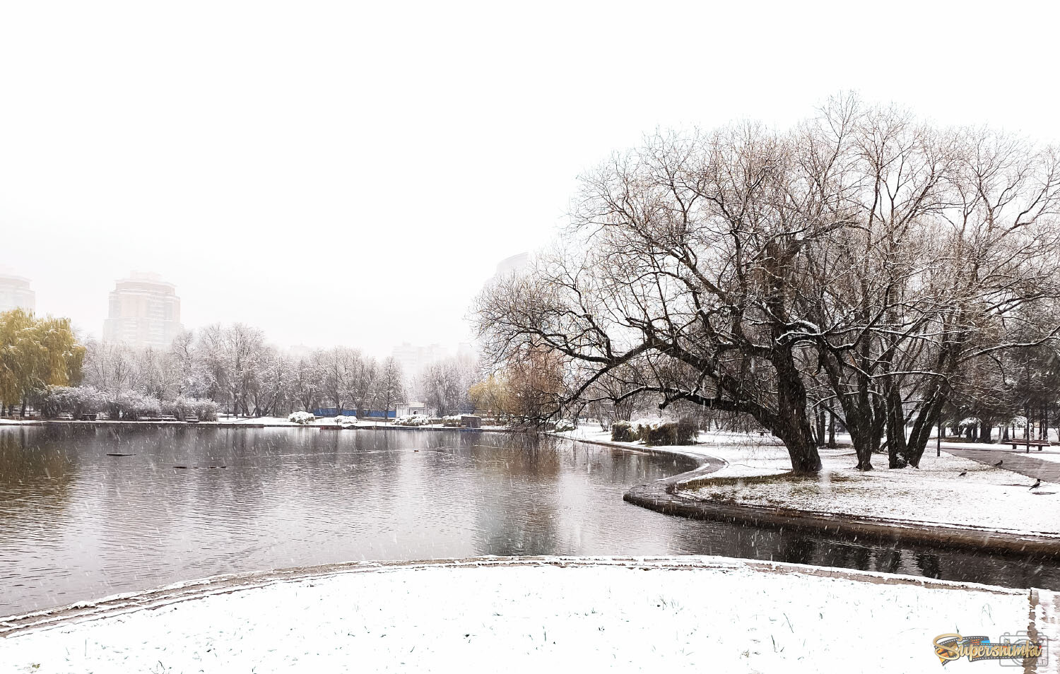 На берегу пруда