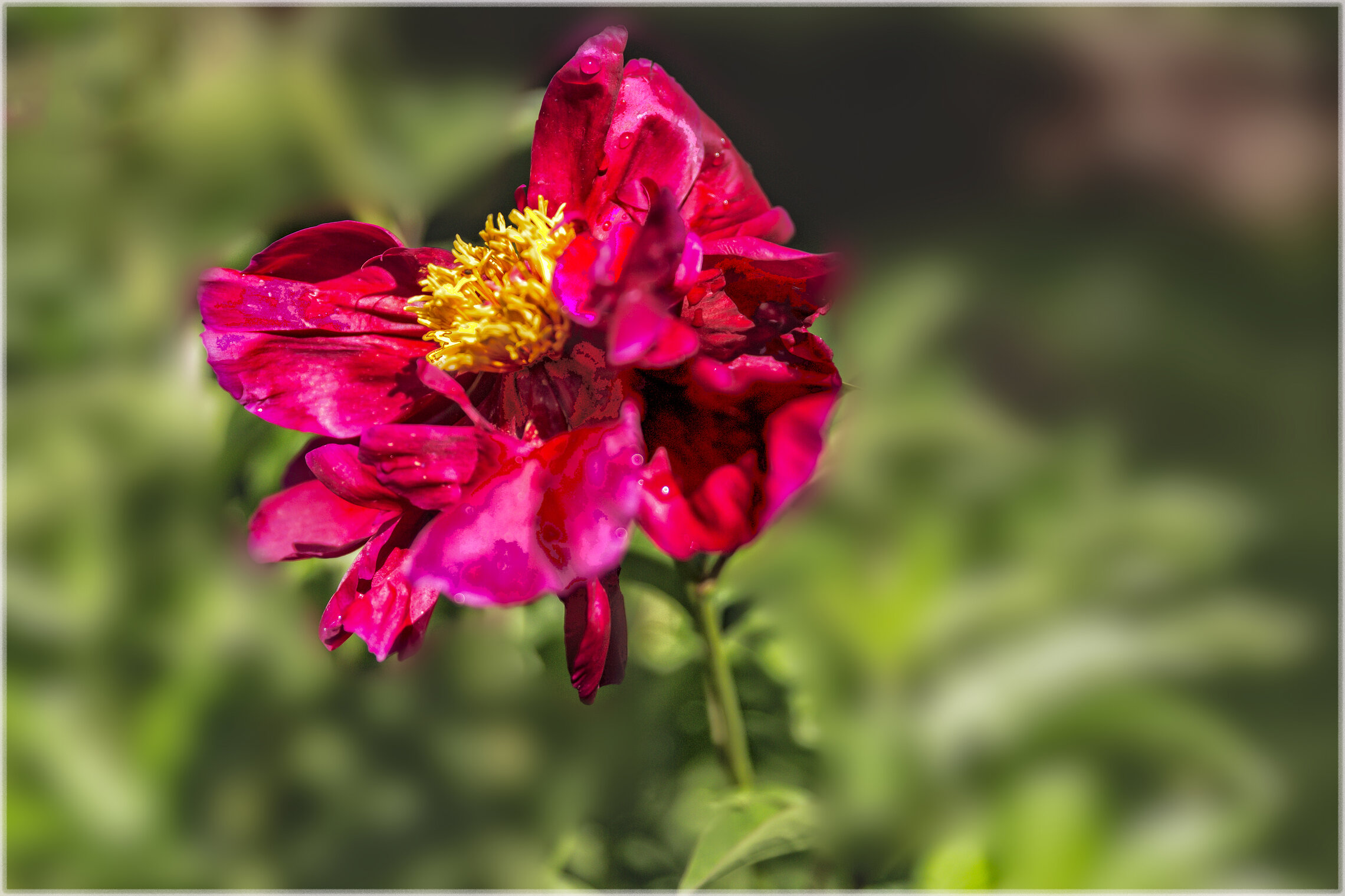 Привет из лета